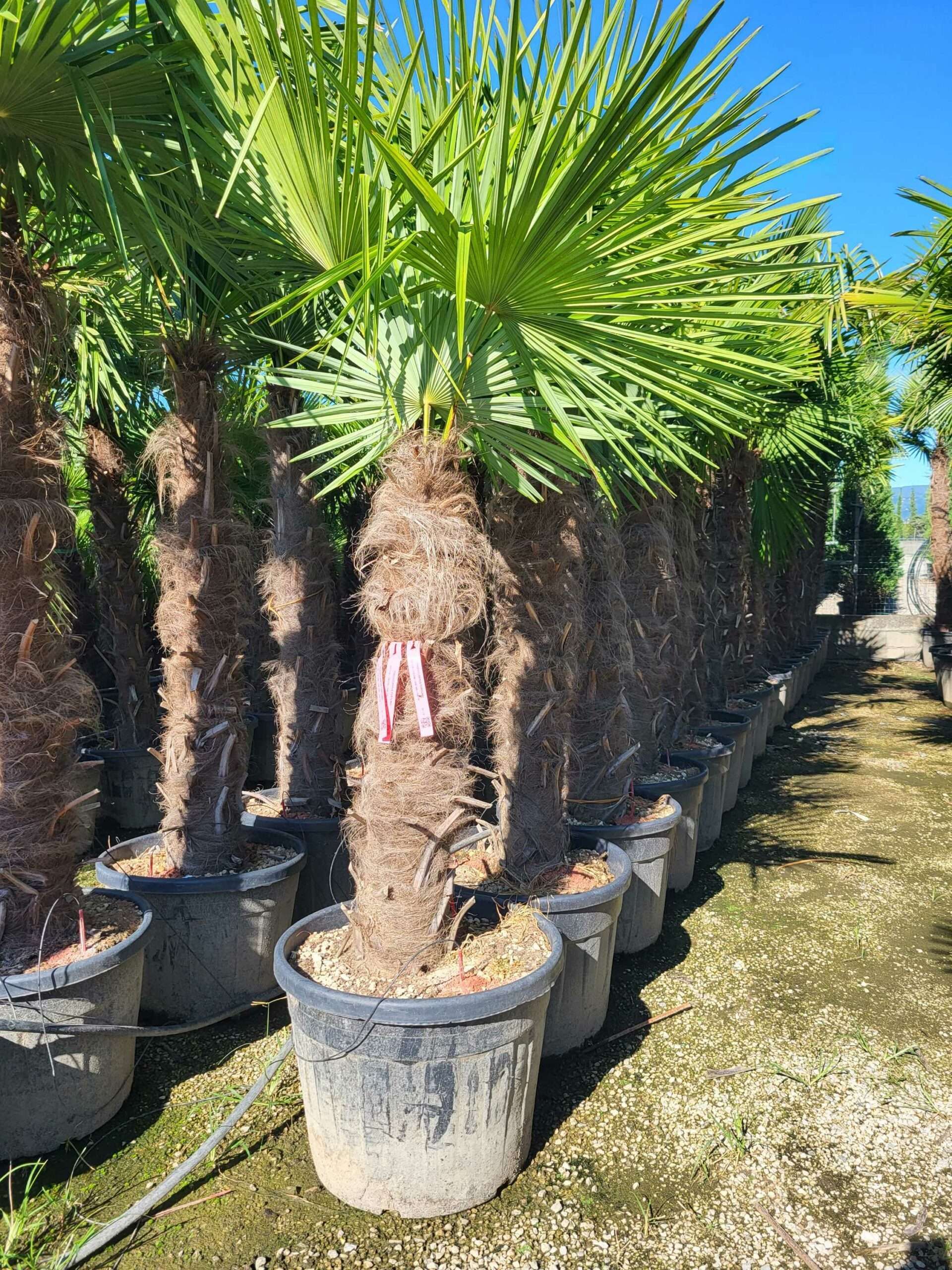 1691480183 scaled b7193837