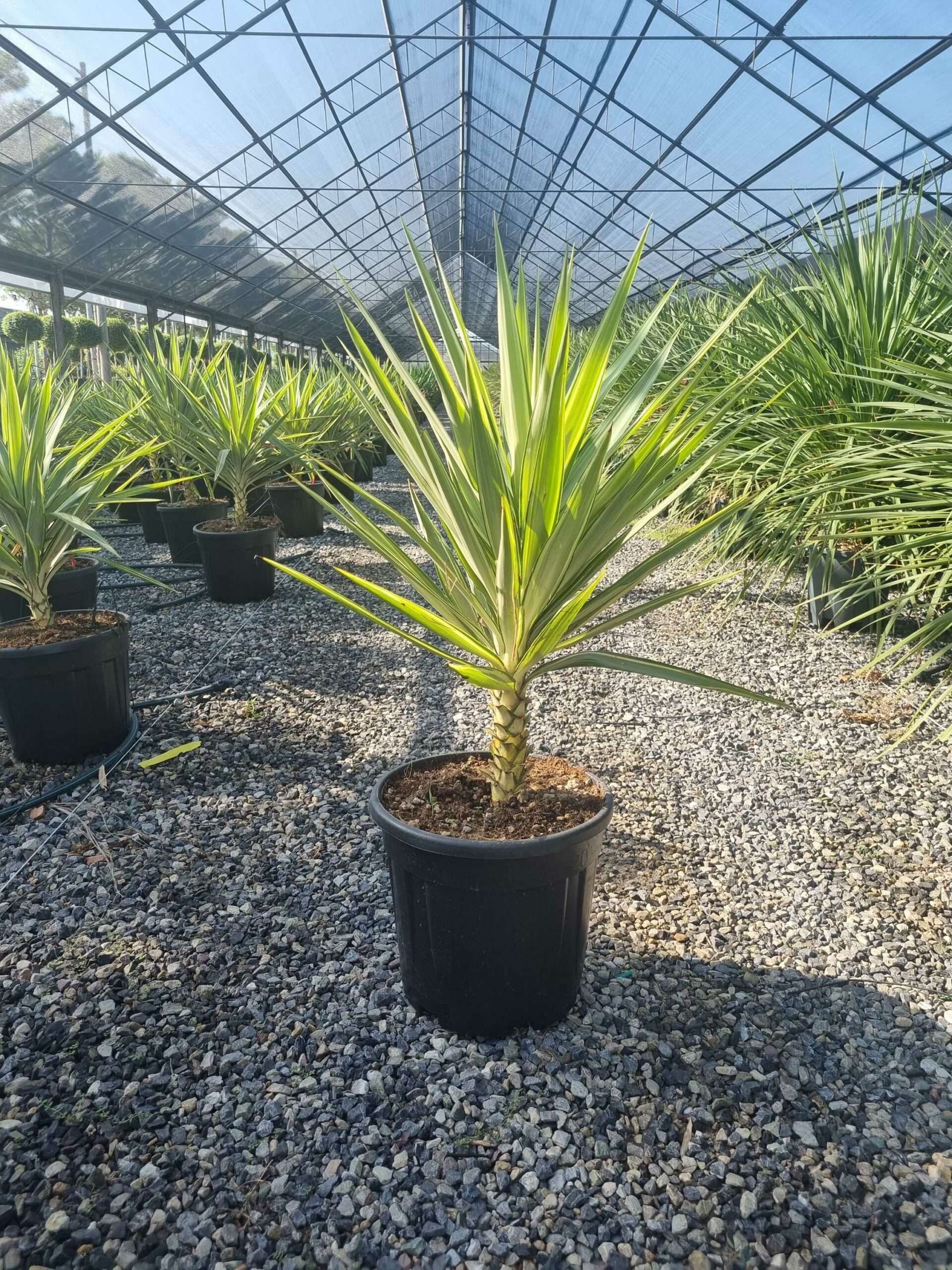 1692948984 scaled b73189e3