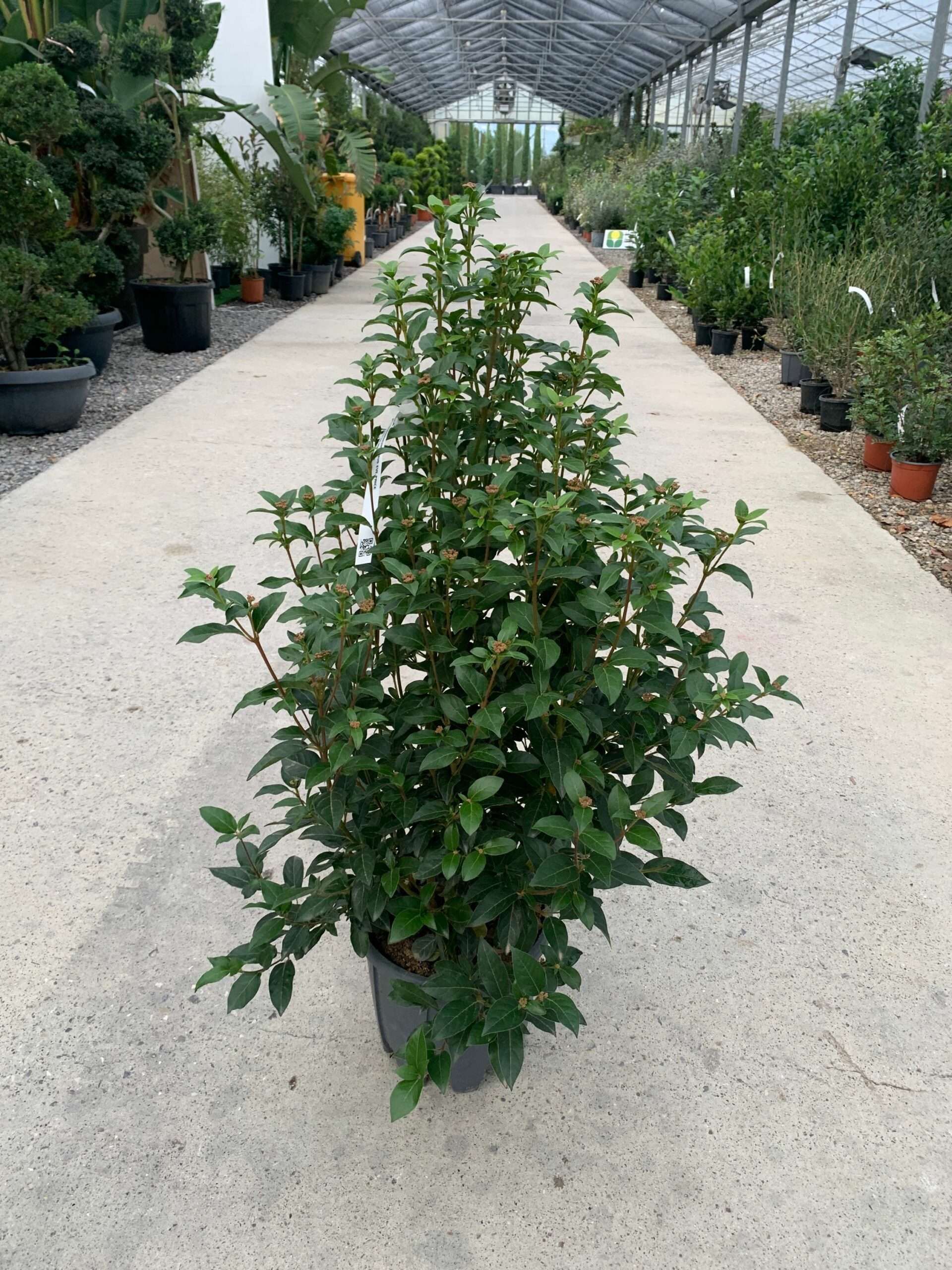 1634826955 scaled b864ecb8