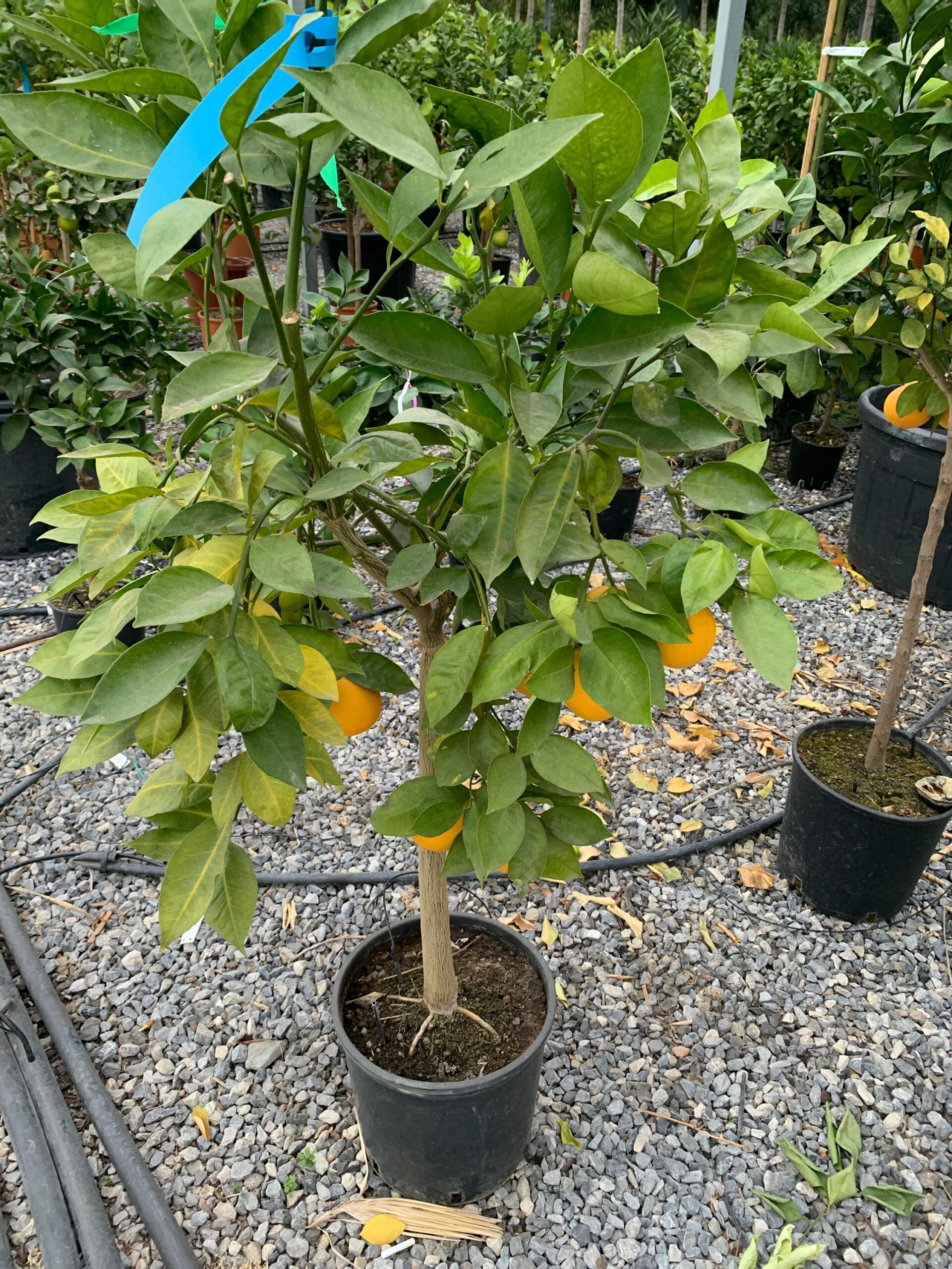 1636557293 scaled b88290d3