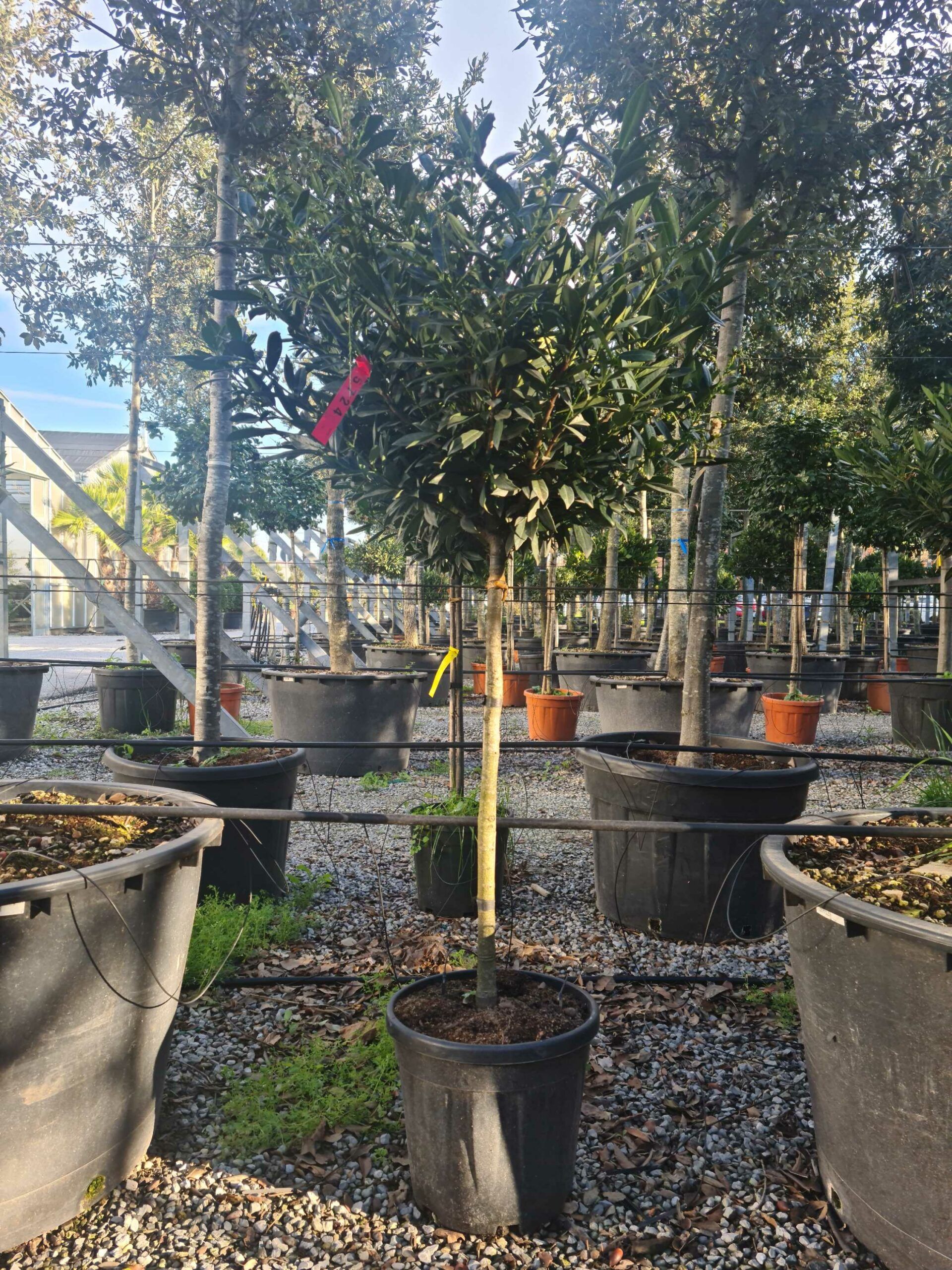 1639403246 scaled b873bfa6