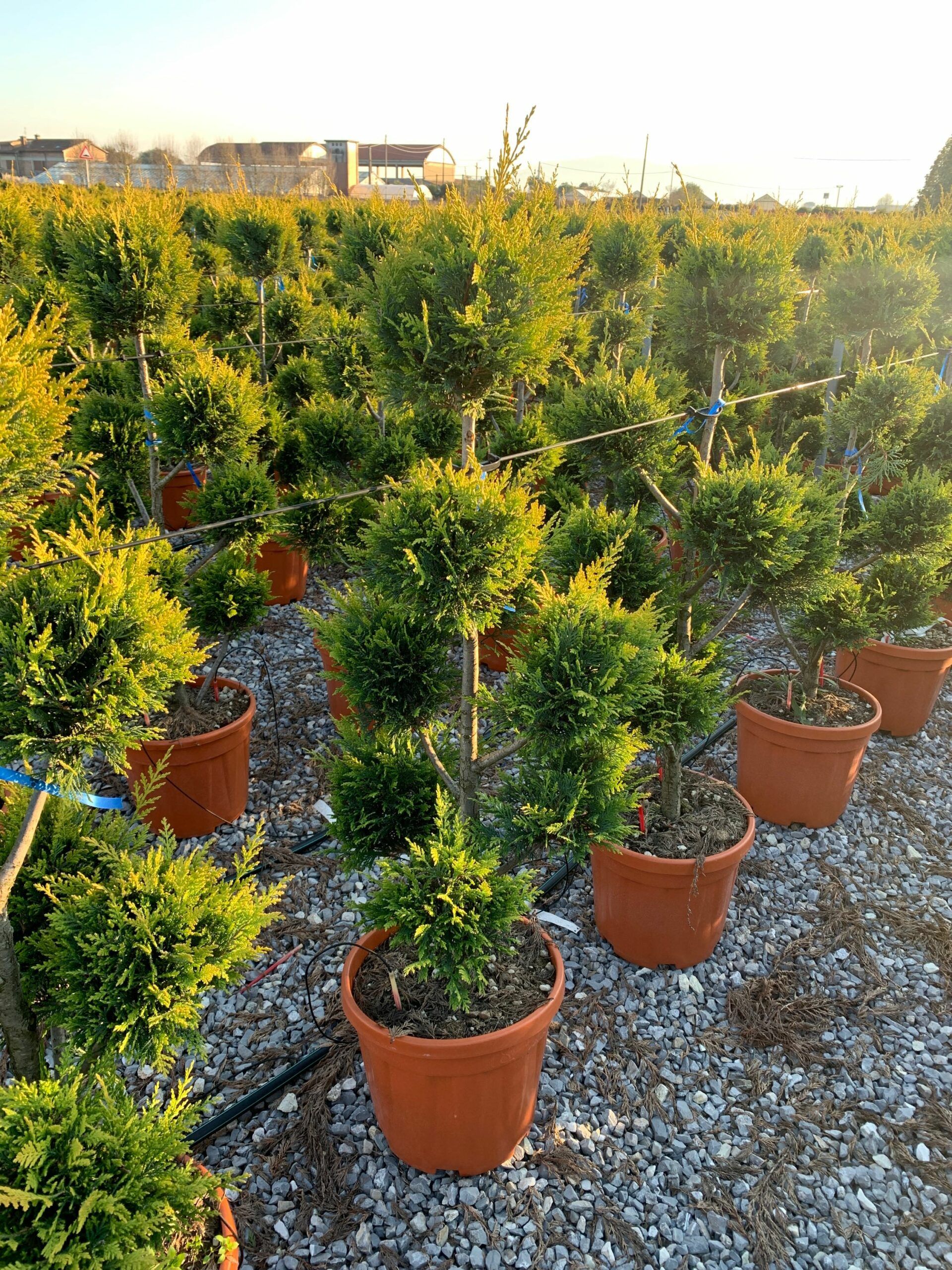 1642604075 scaled b818f1b6