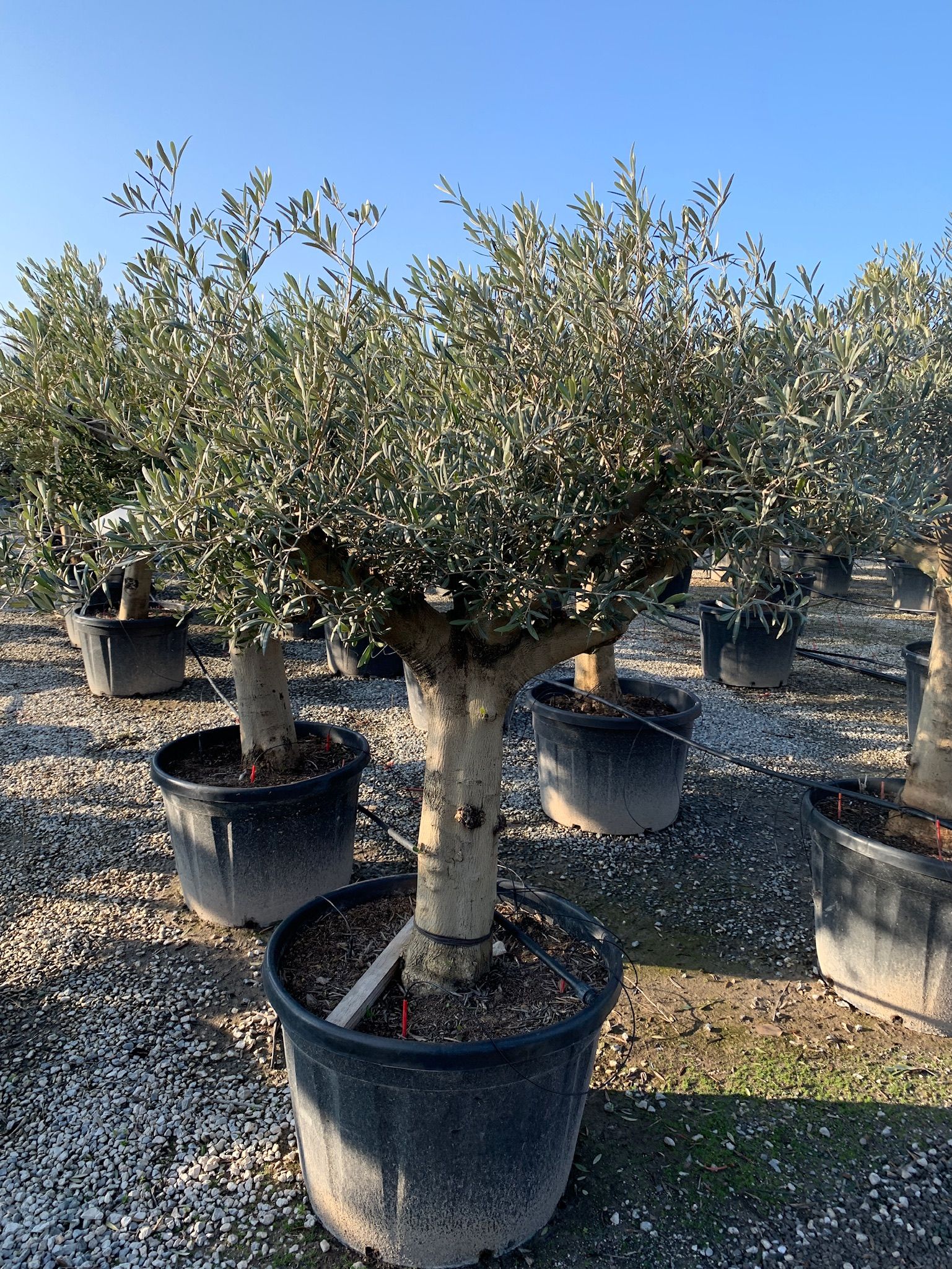 1643038914 014937cb7d08be6f49c12a7d0c6af4b1ea76a6a088 b8977309