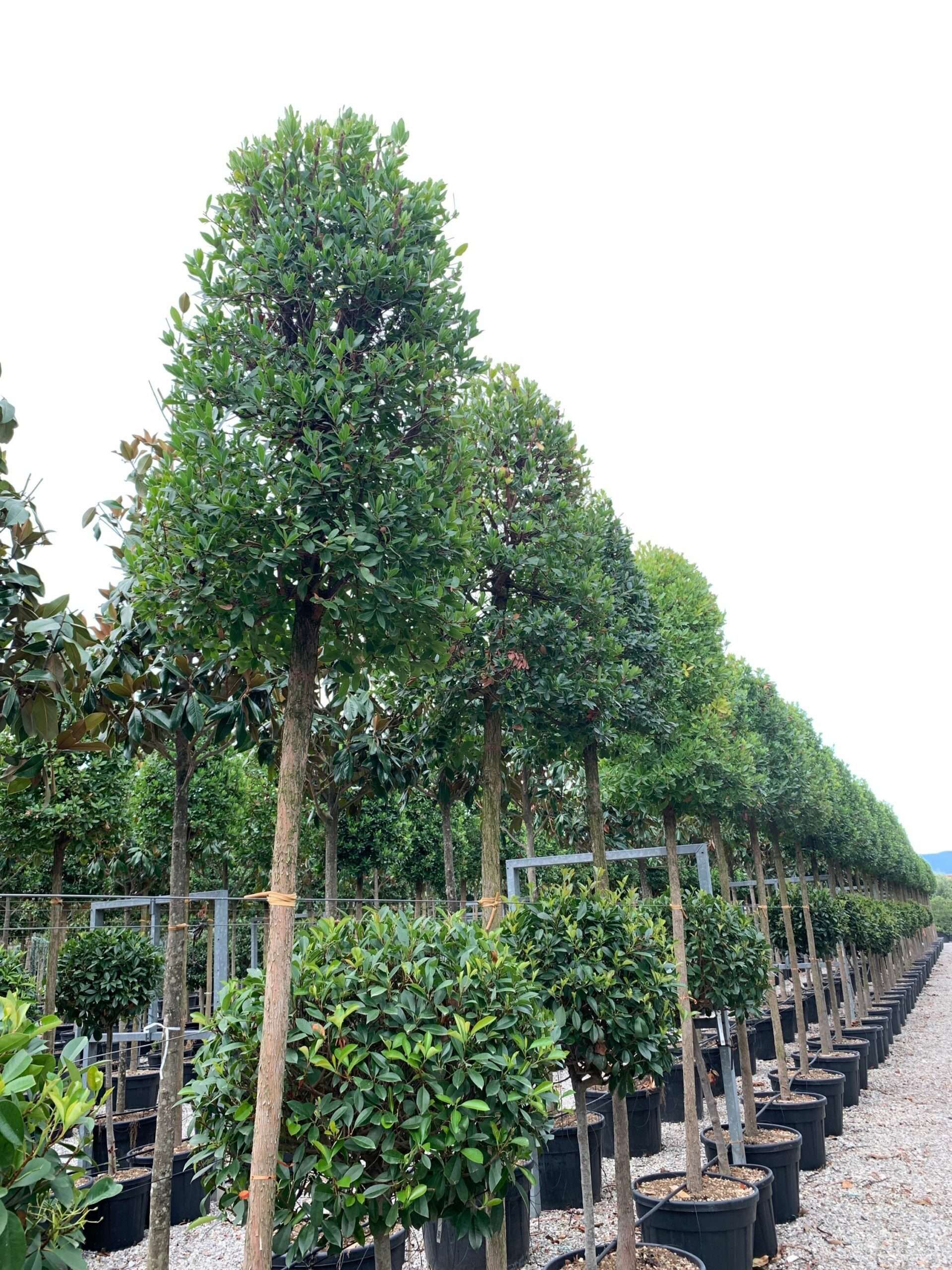 1657553062 scaled b846c5e0