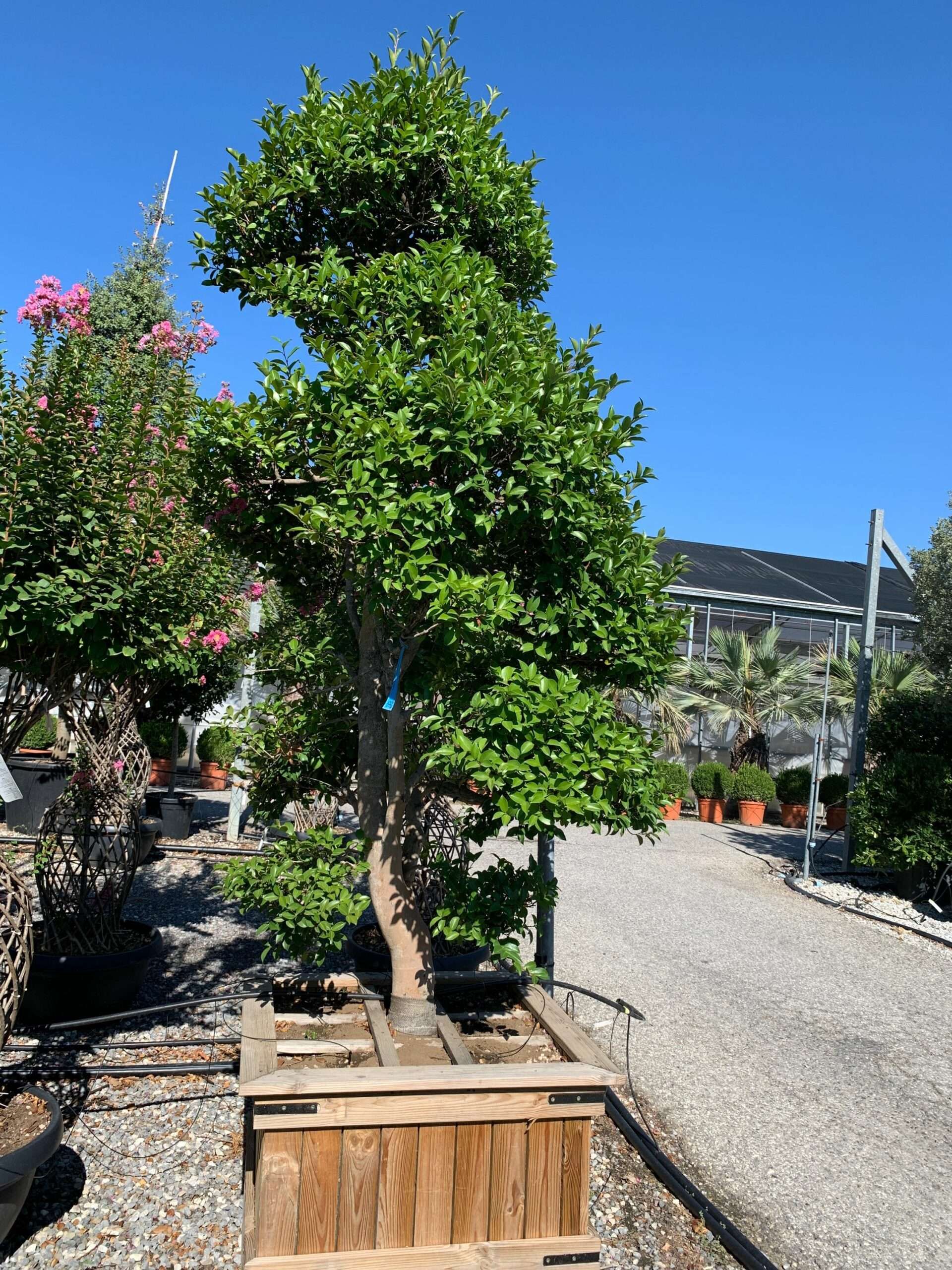 1659599753 scaled b8362808