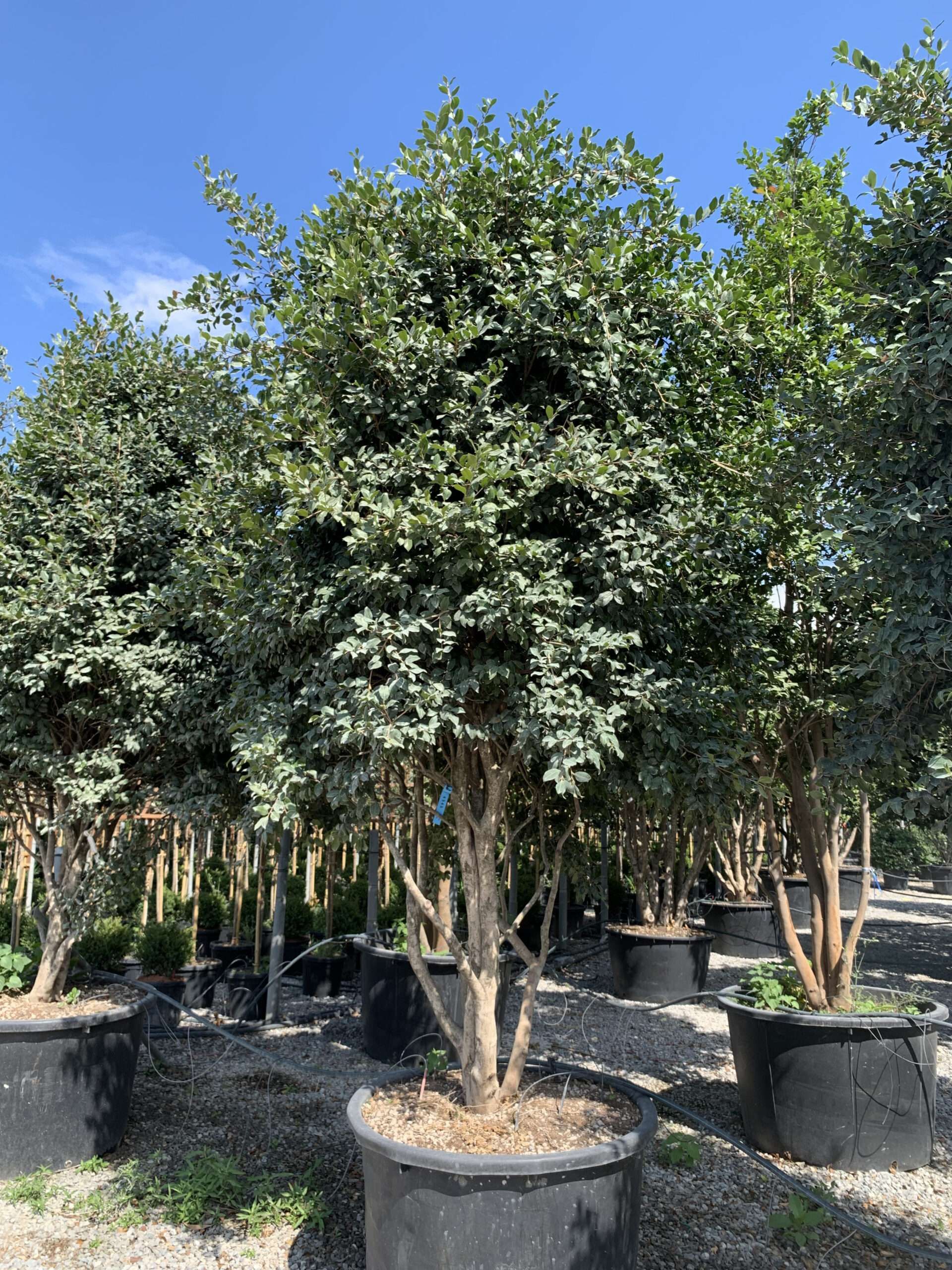 1660232254 scaled b896edf6