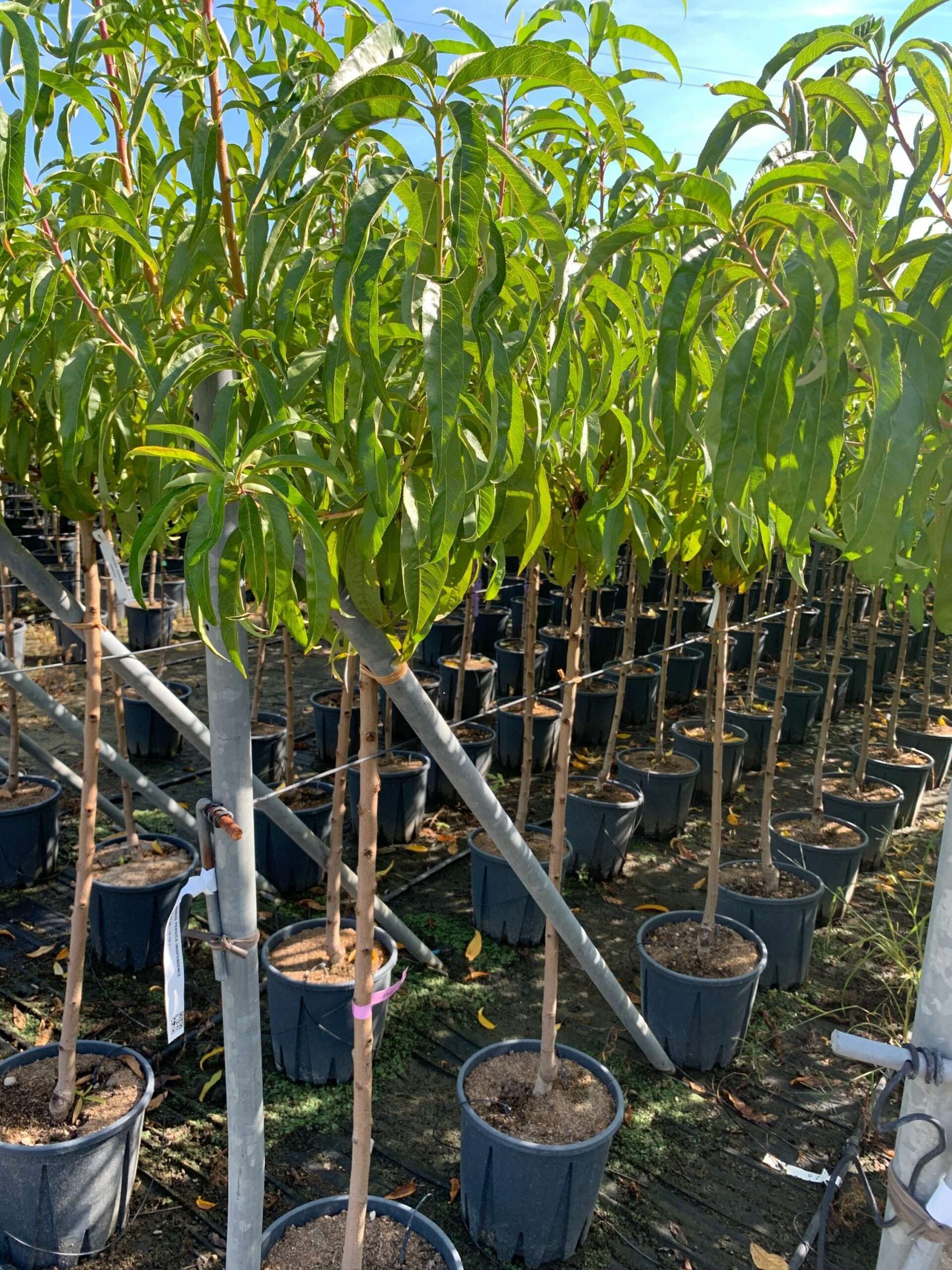 1662365805 scaled b874bbb6