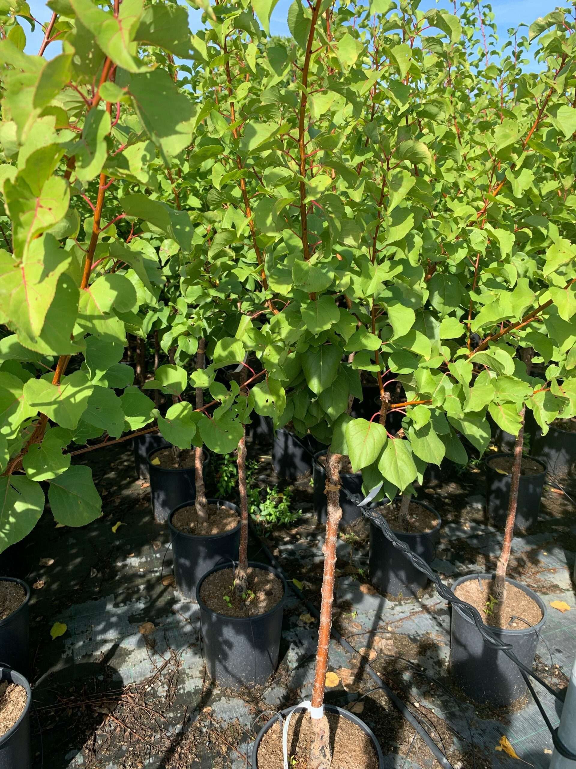 1662366960 scaled b8faf43d