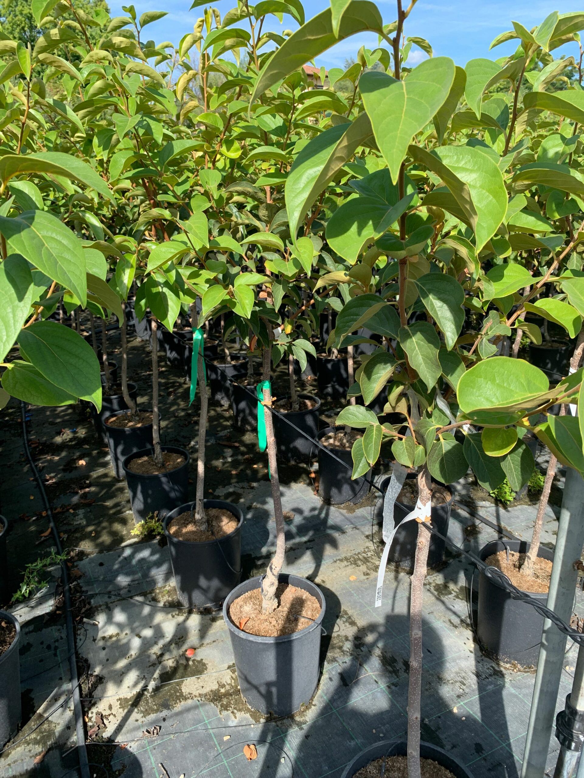 1662367069 scaled b8c19211