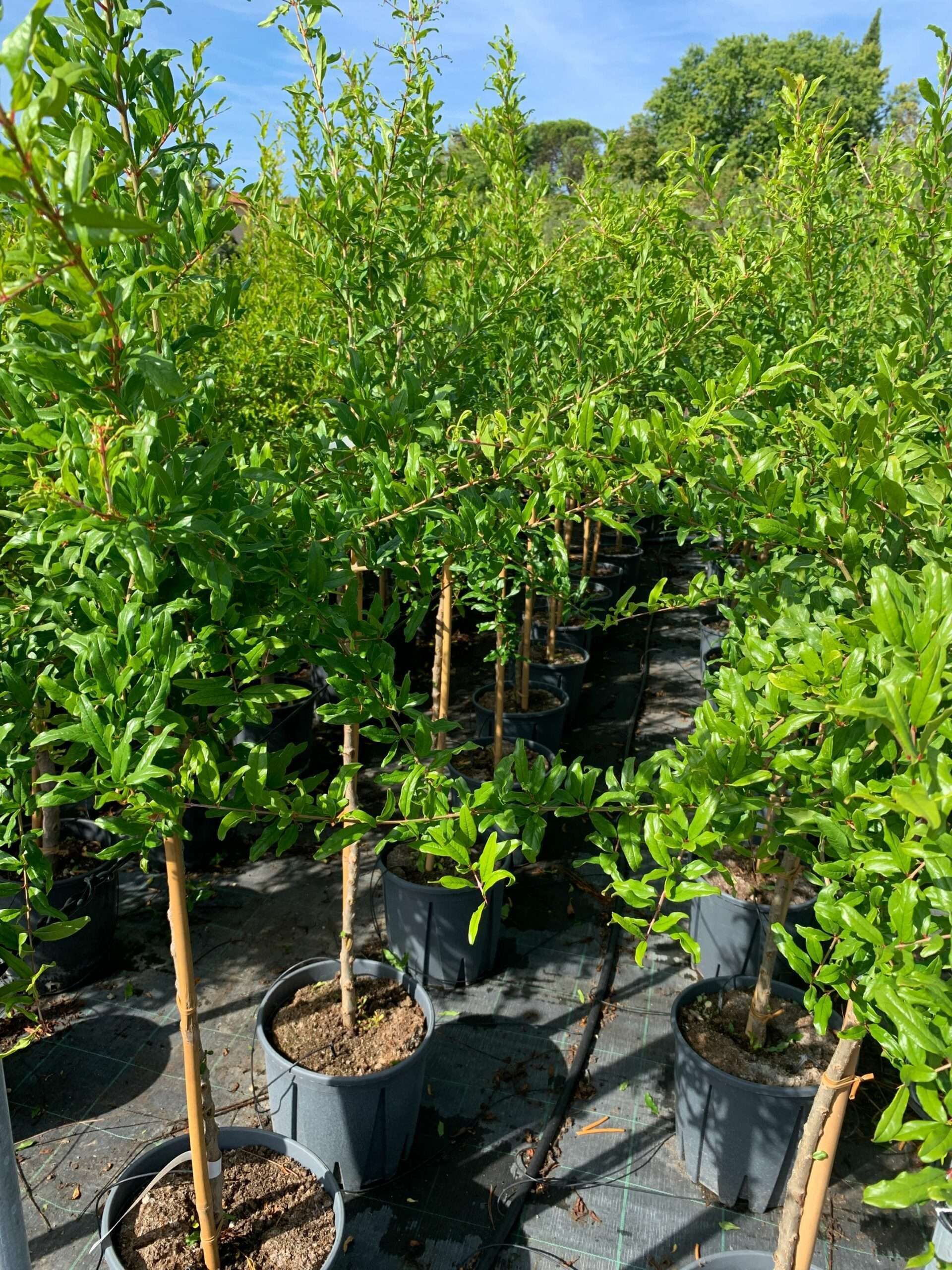 1662367195 scaled b8f33d22