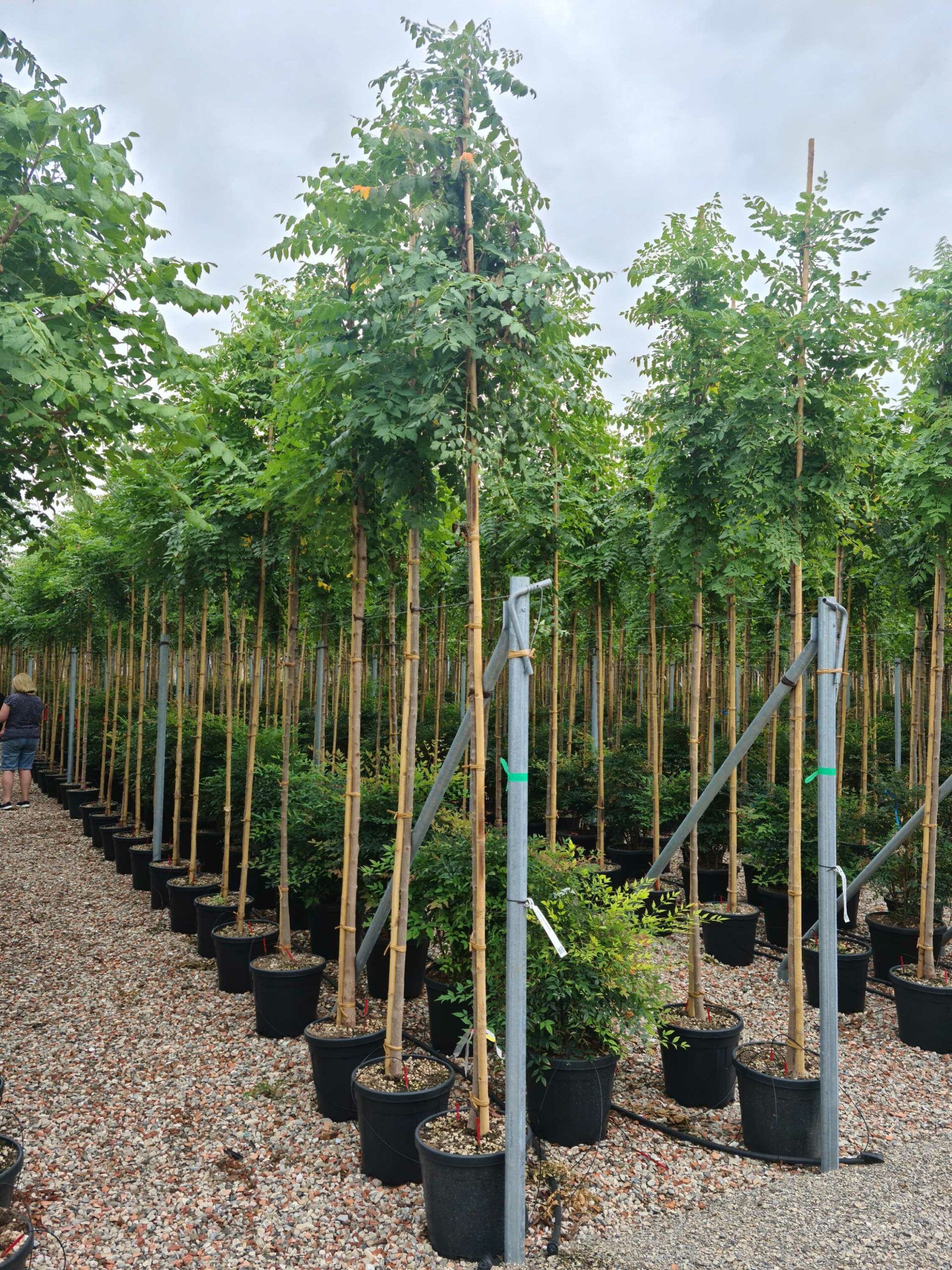 1663145973 scaled b88d5322