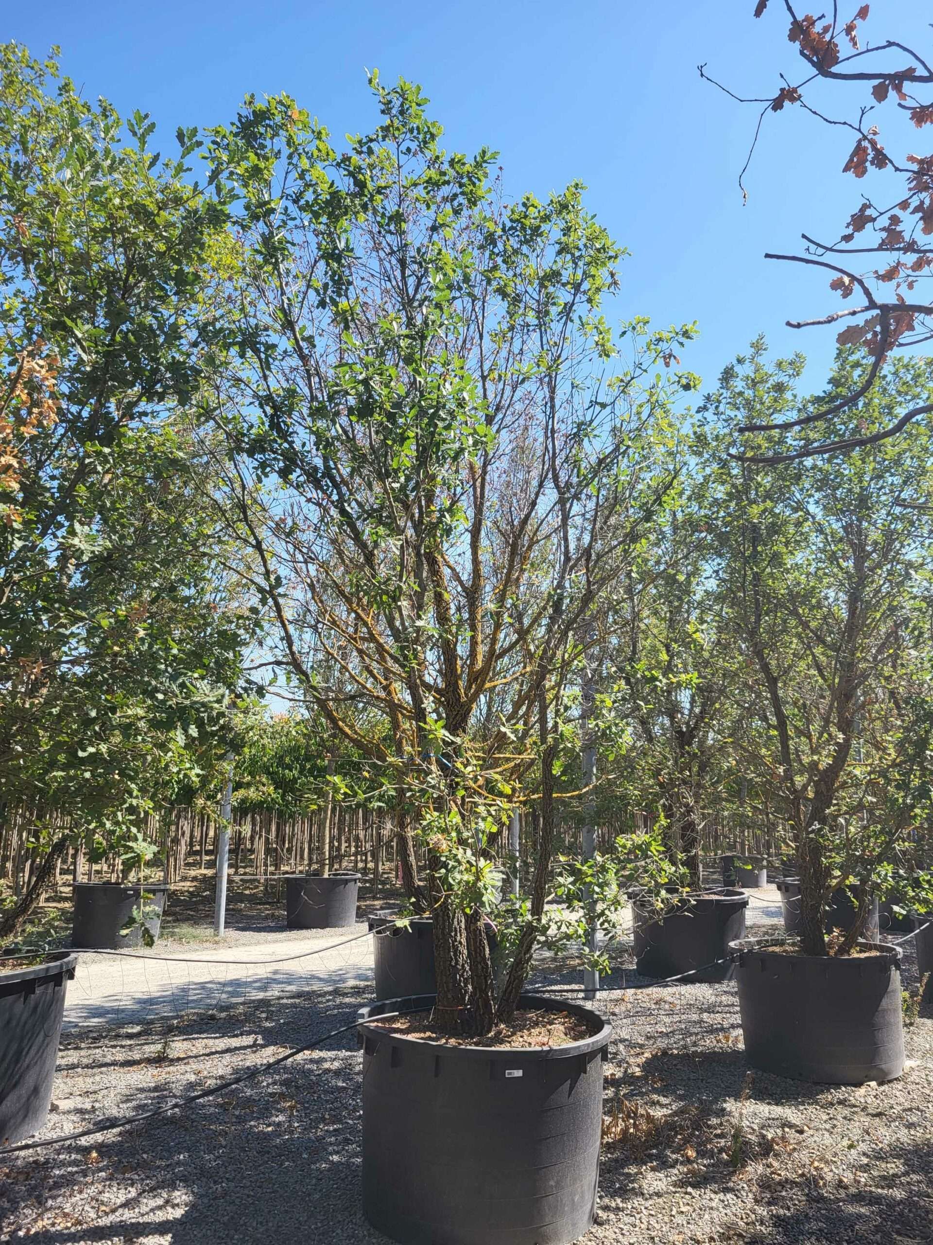 1692711365 scaled b8b7e4dc