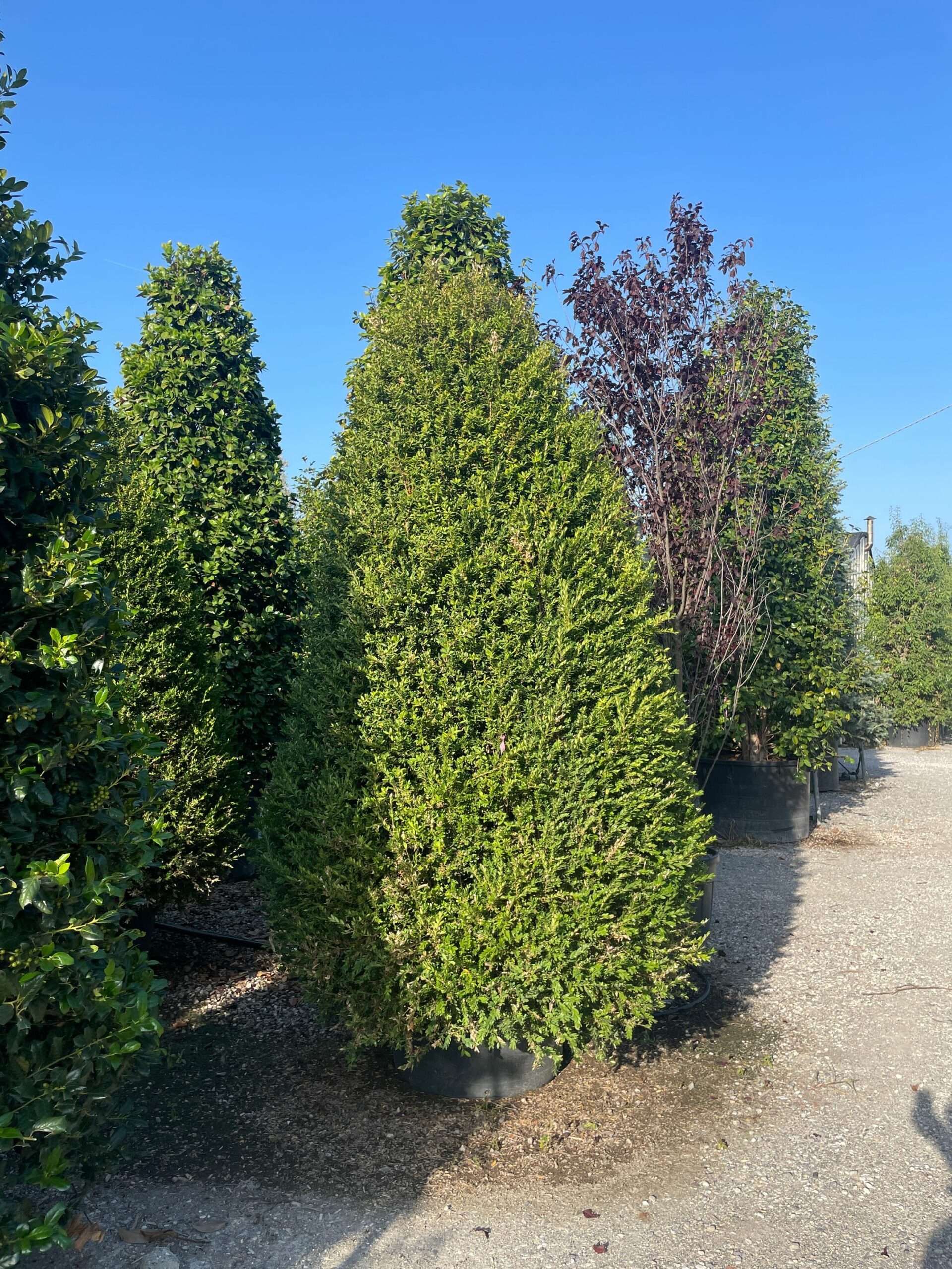 1692945374 scaled b89eb6d6