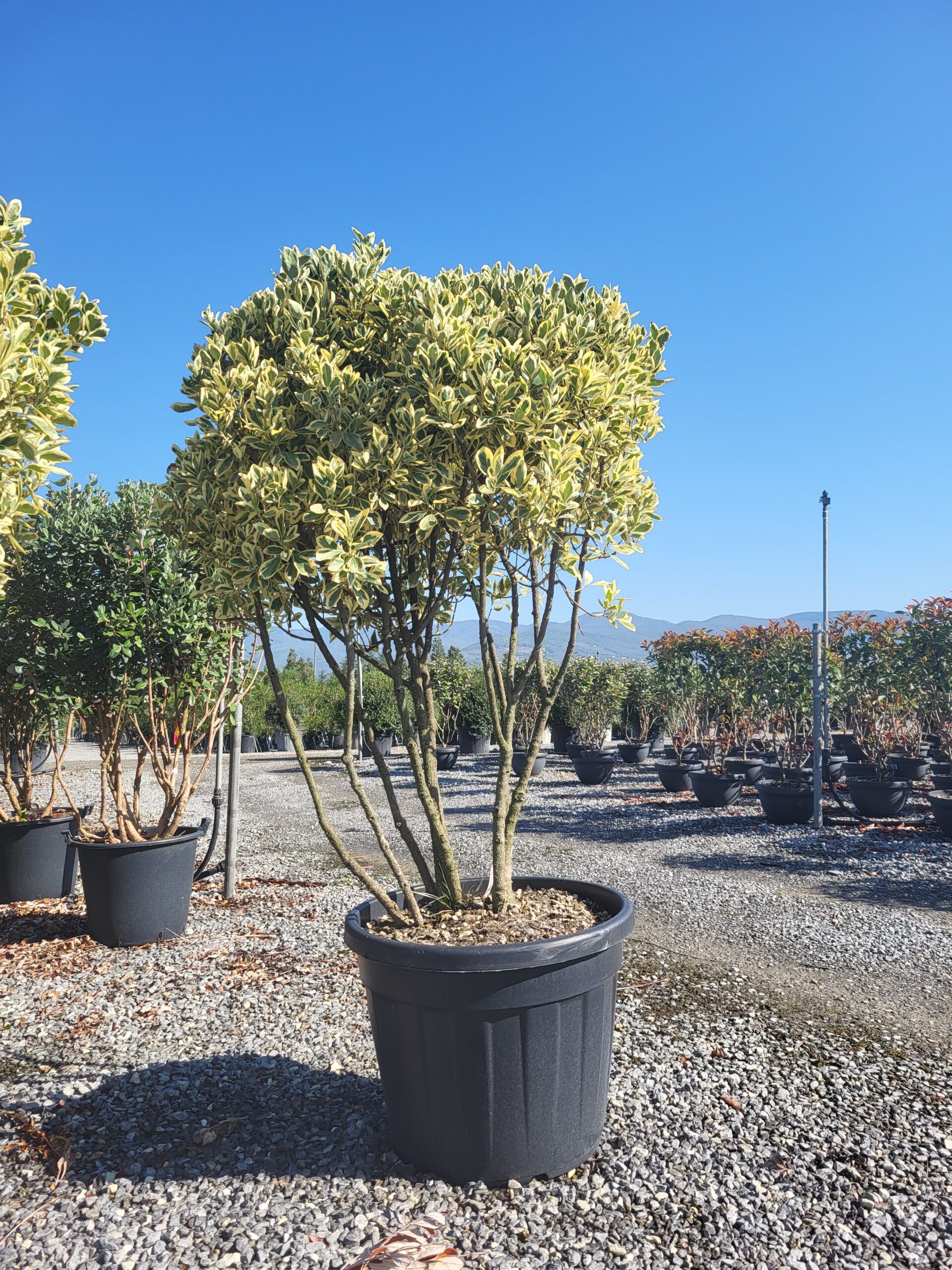 1696397804 scaled b88e4734