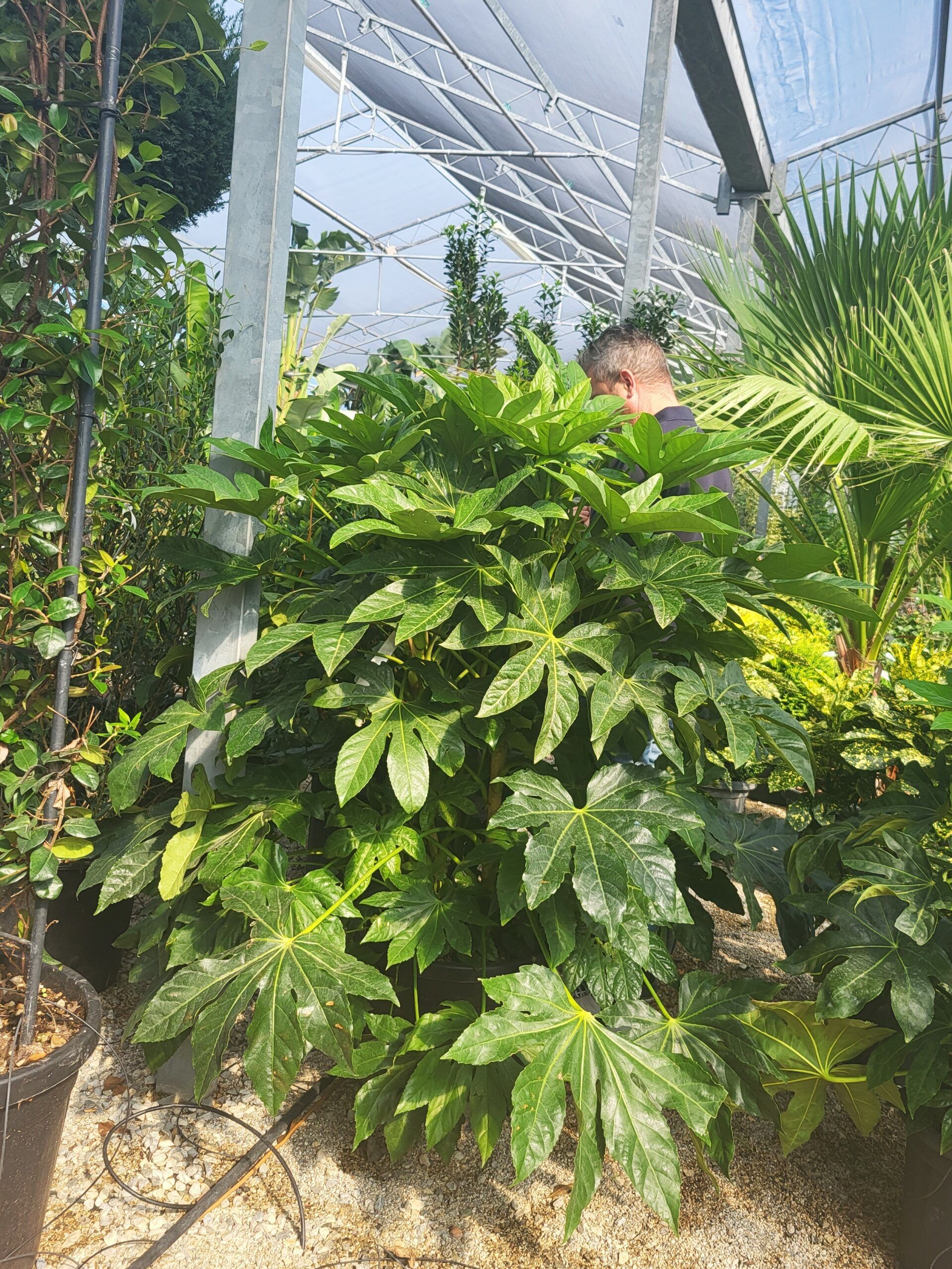 1696398058 scaled b81f51be