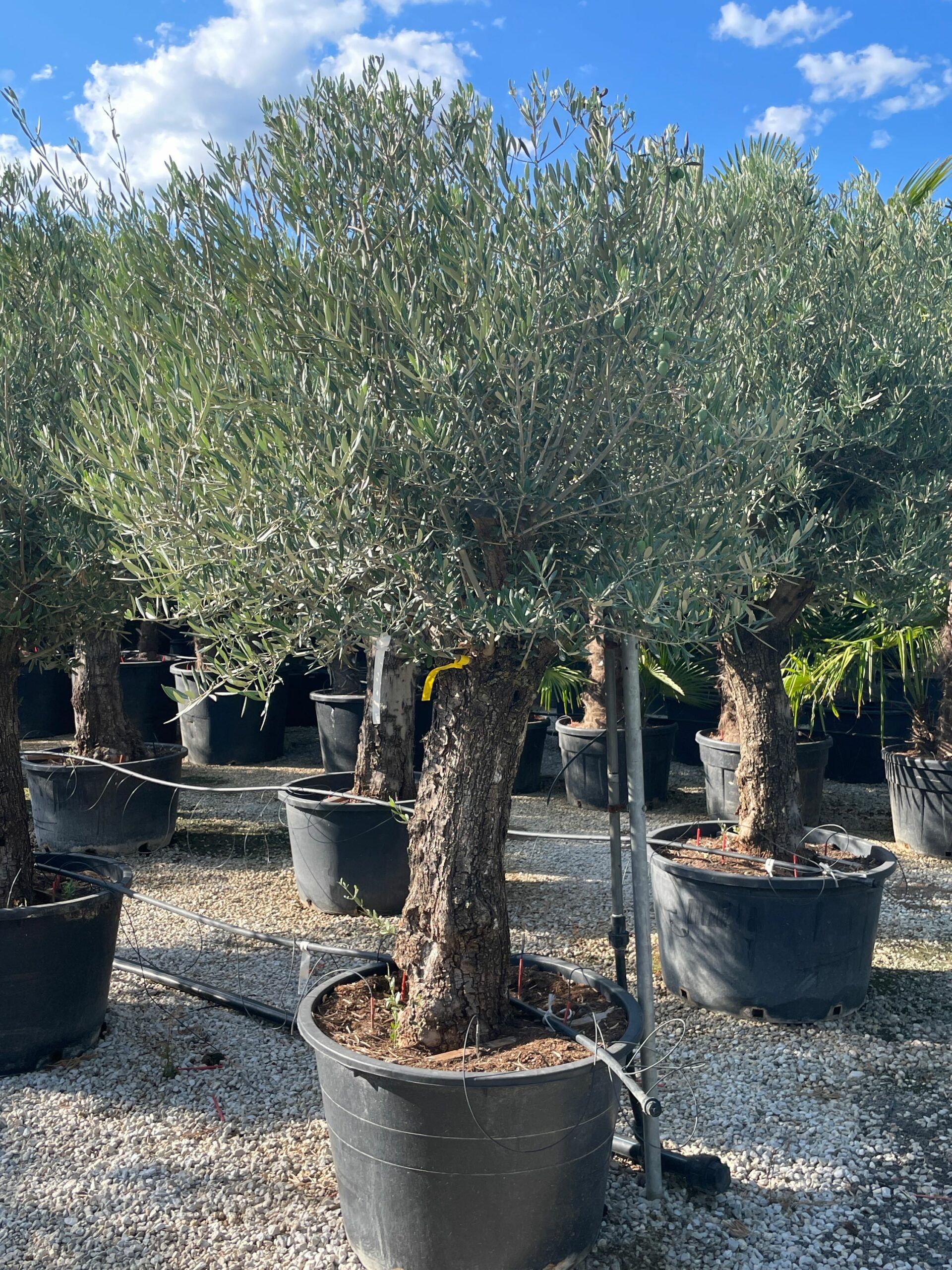 1630595542 scaled b90c66b3