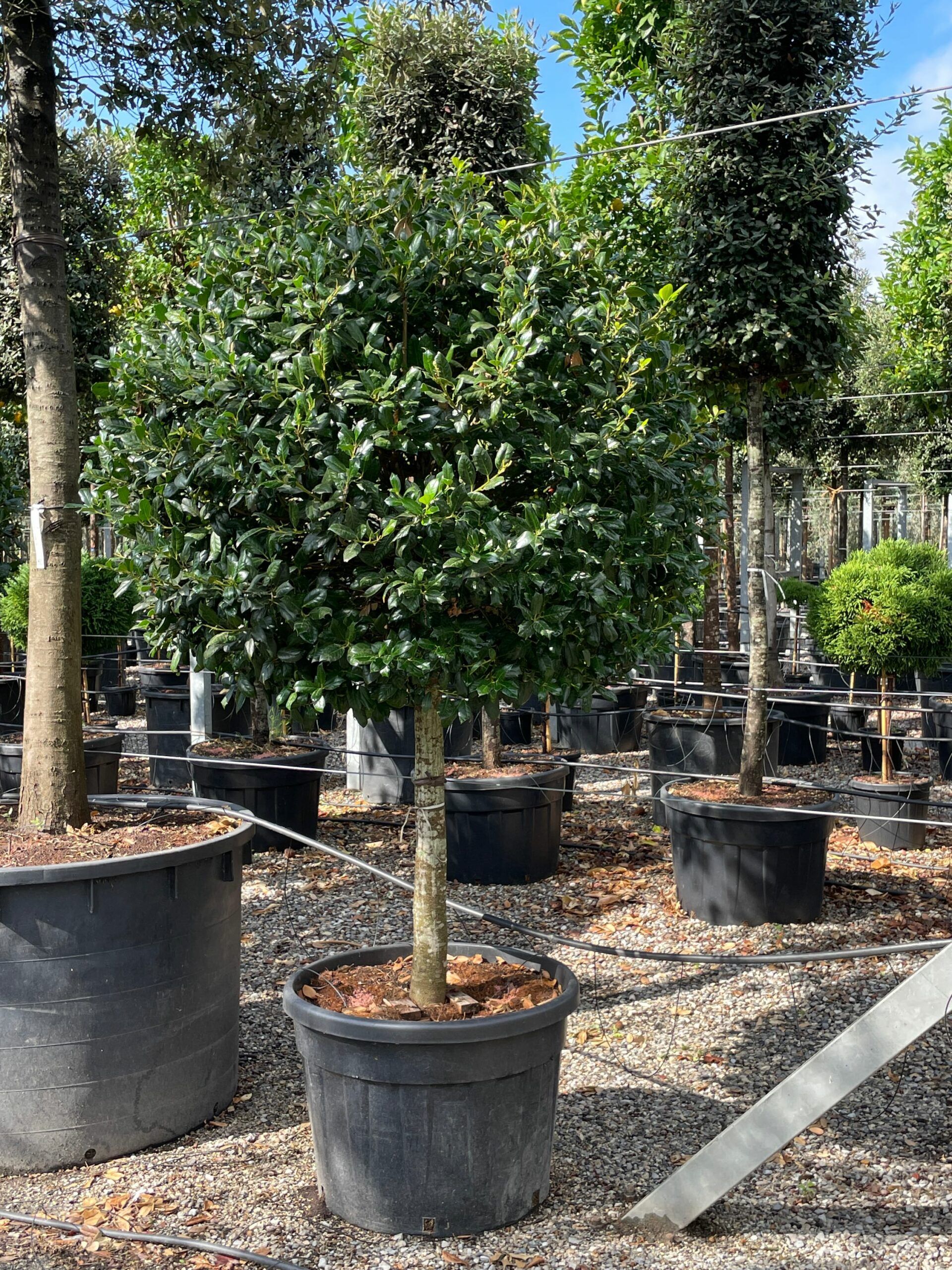 1631955806 scaled b92d531e