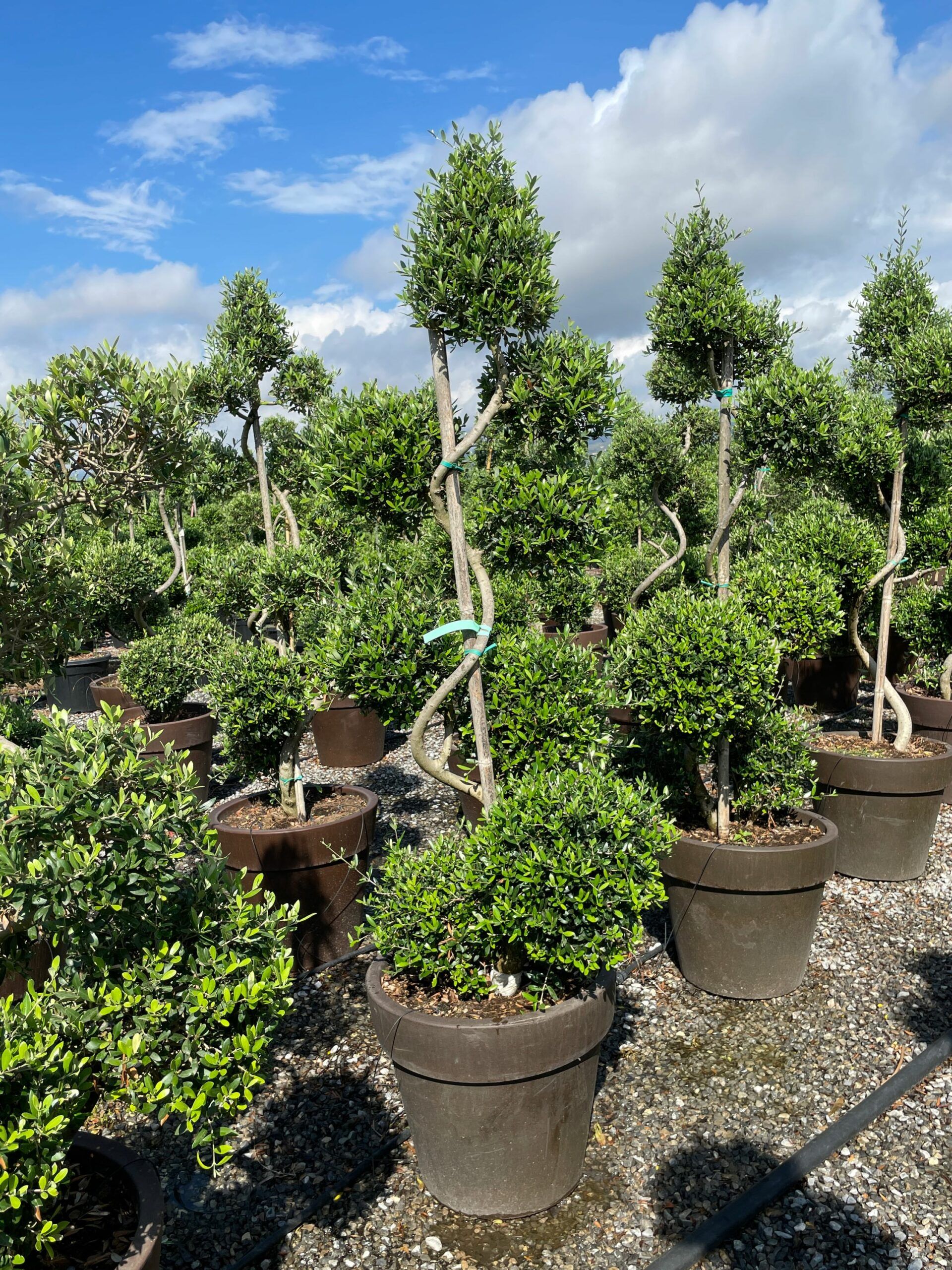 1631957389 scaled b92c8957