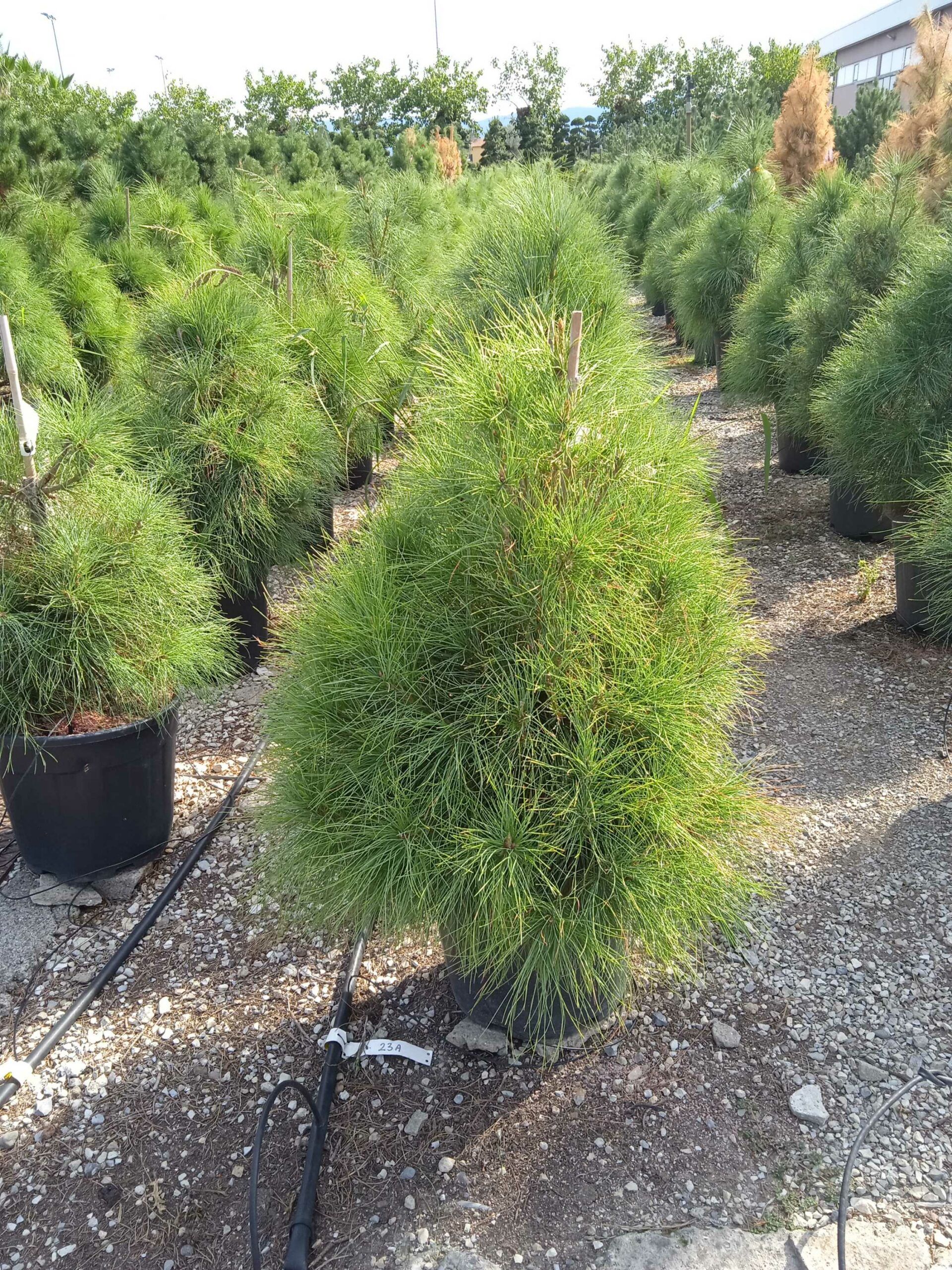 1662127278 scaled b901d740