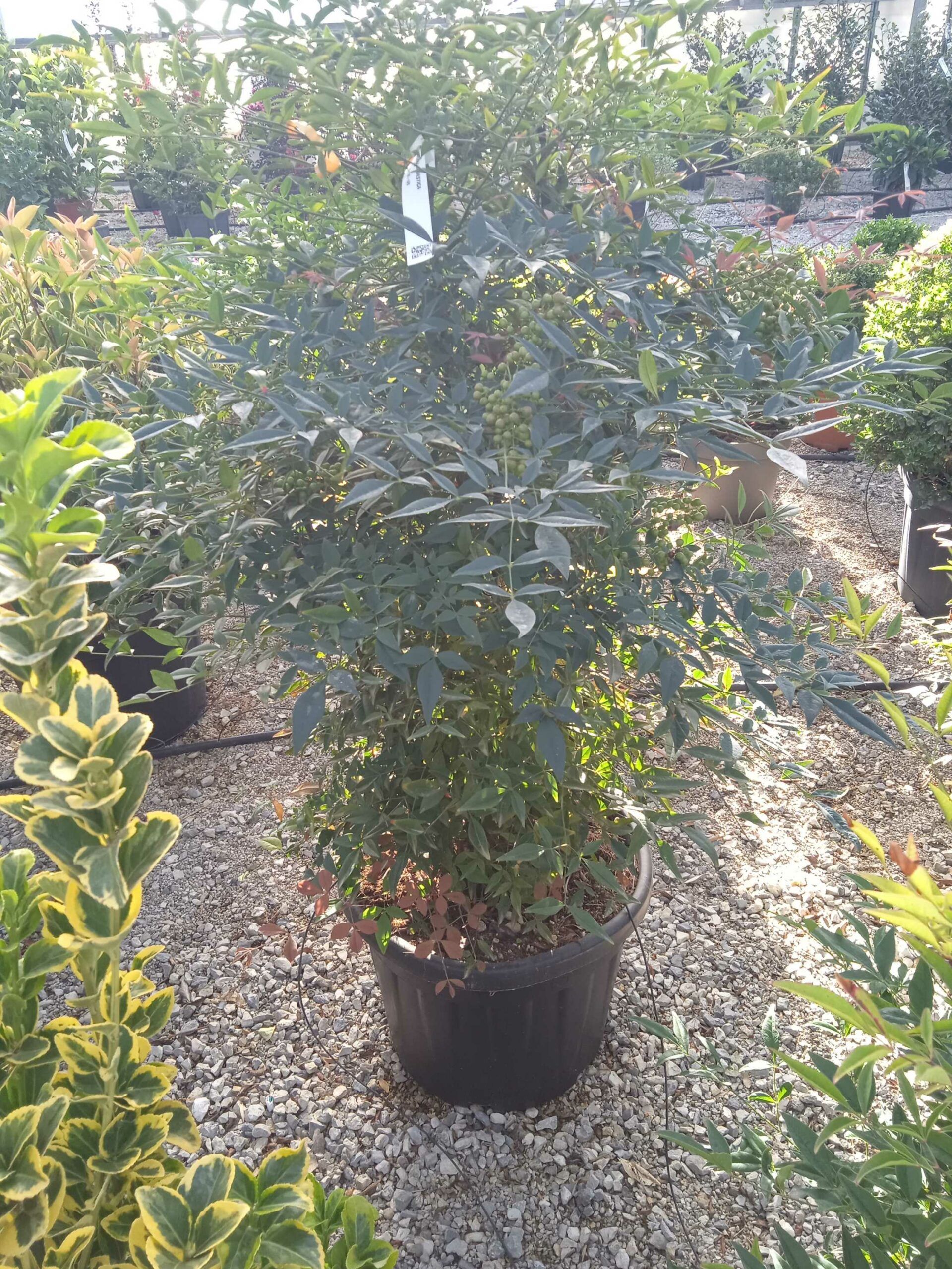 1662445717 scaled b93e2a55