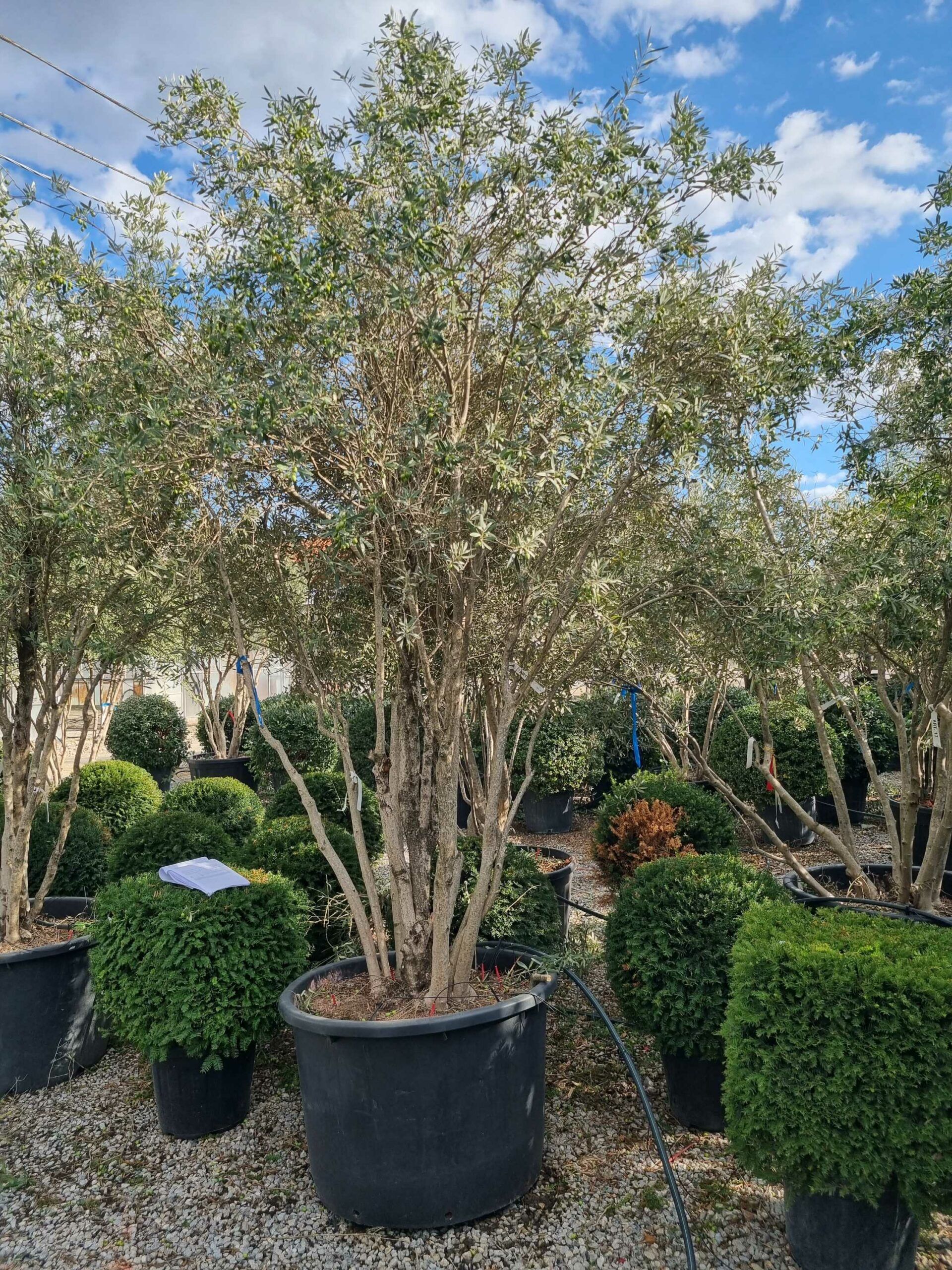 1663598585 scaled b988654c