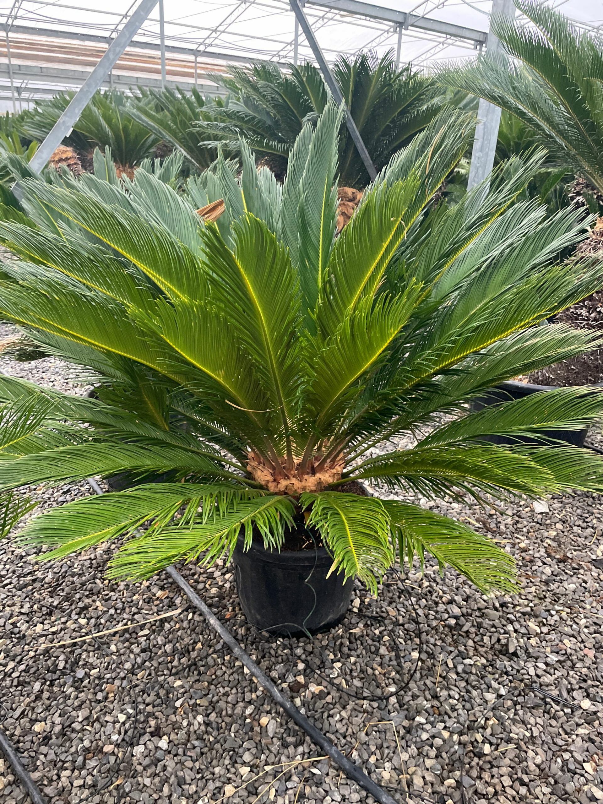 1670576305 scaled b97148b1