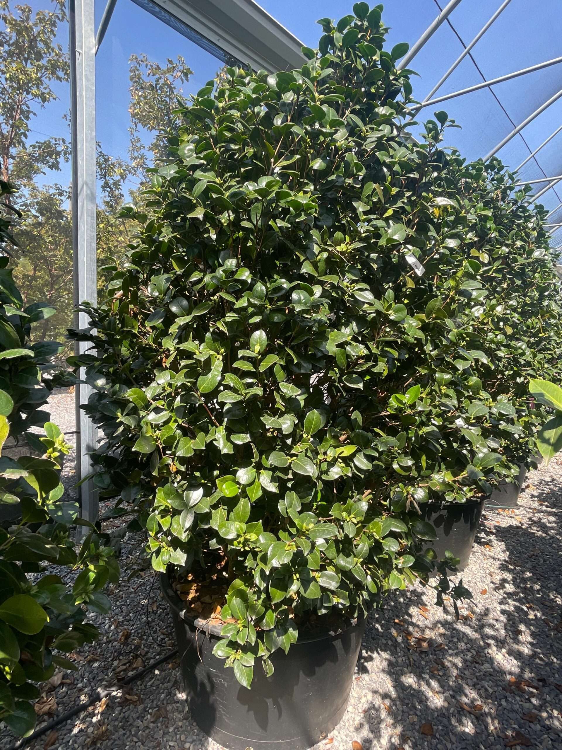 1692871102 scaled b988979b