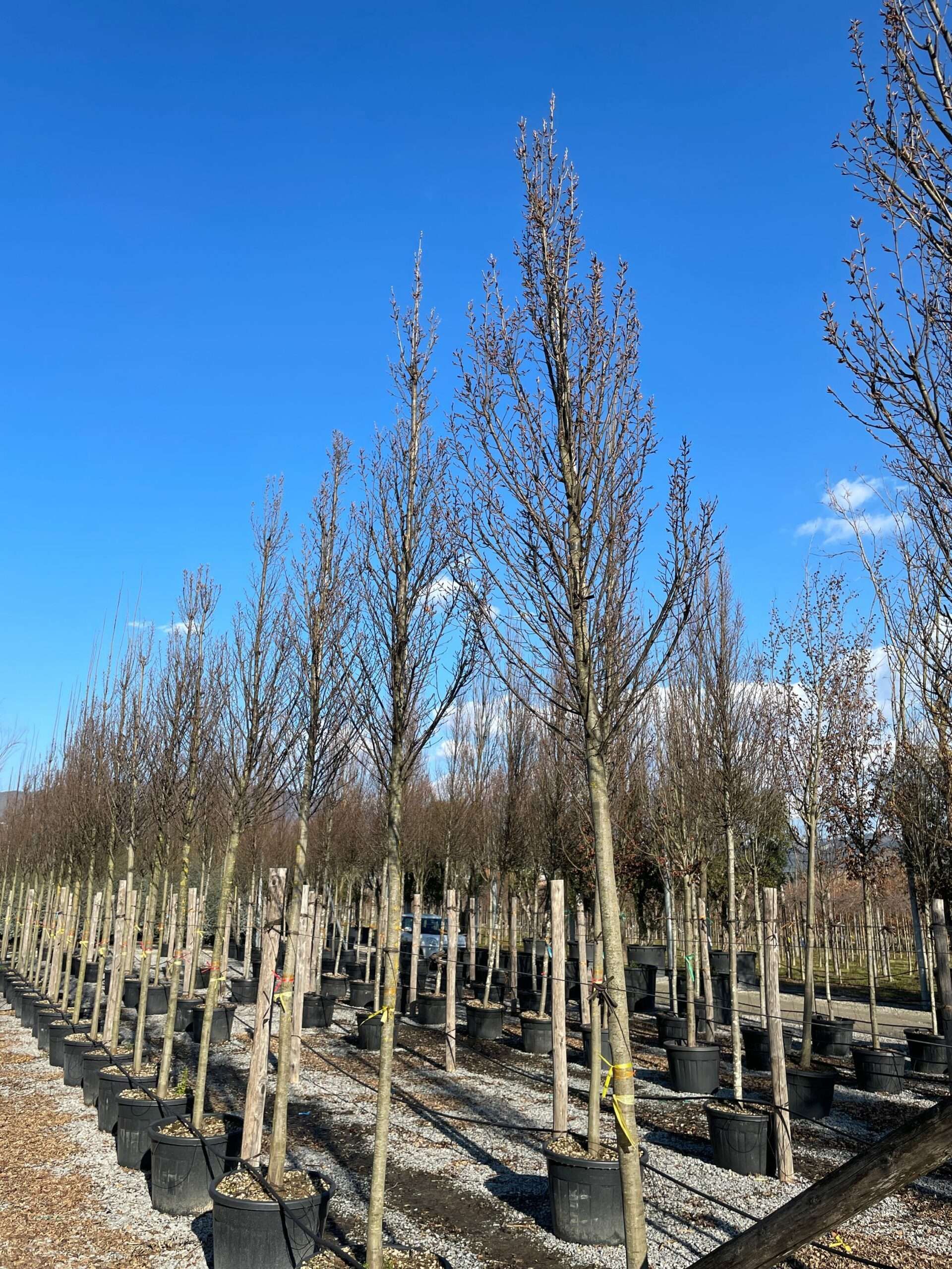 1644241762 scaled ba0bf356