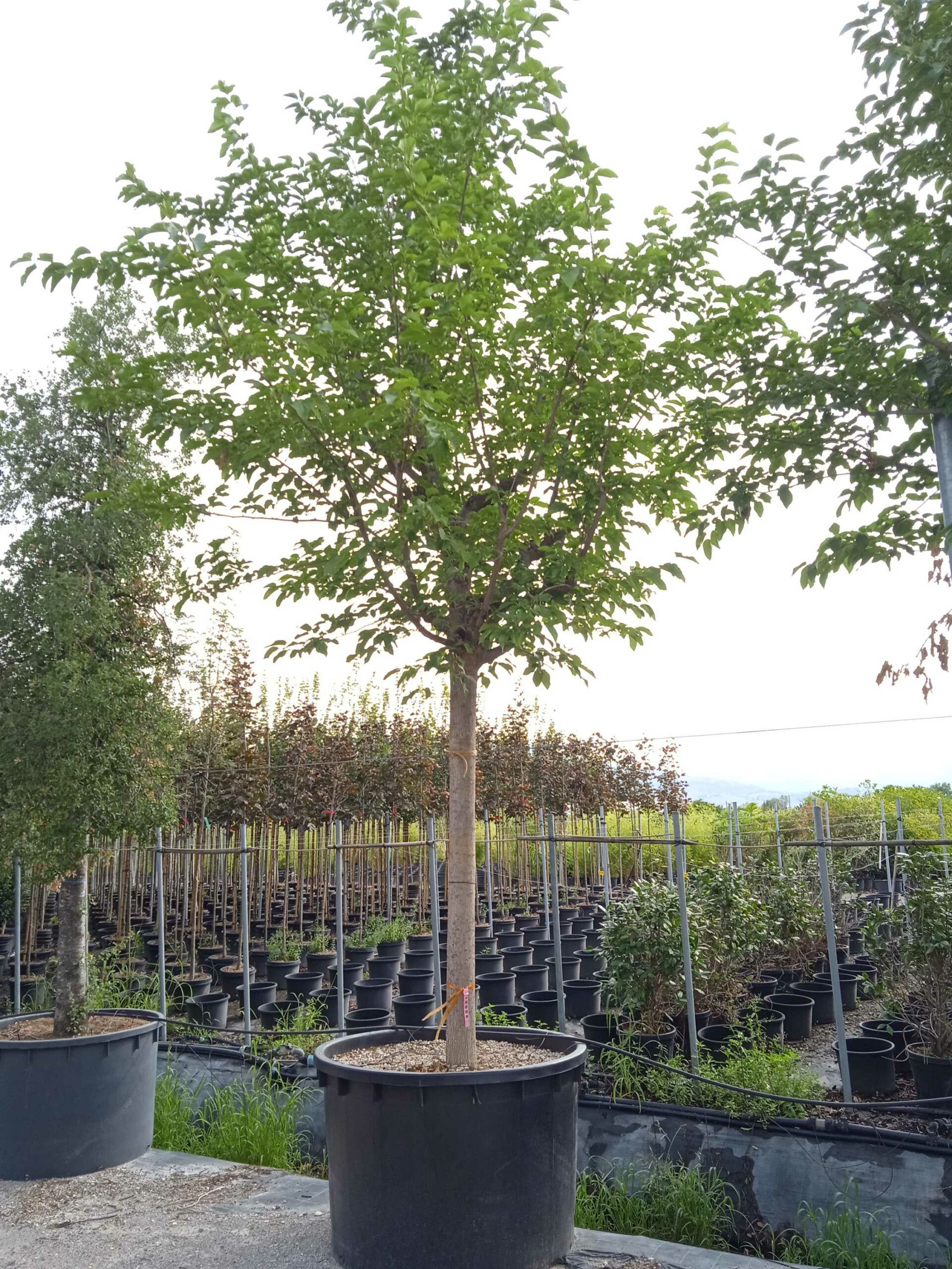 1662020250 scaled ba2d77fd