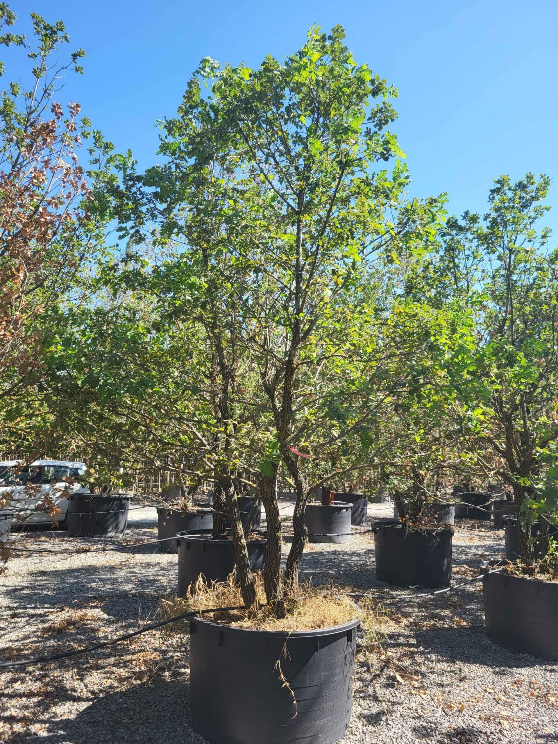 1692711623 scaled bae2033d