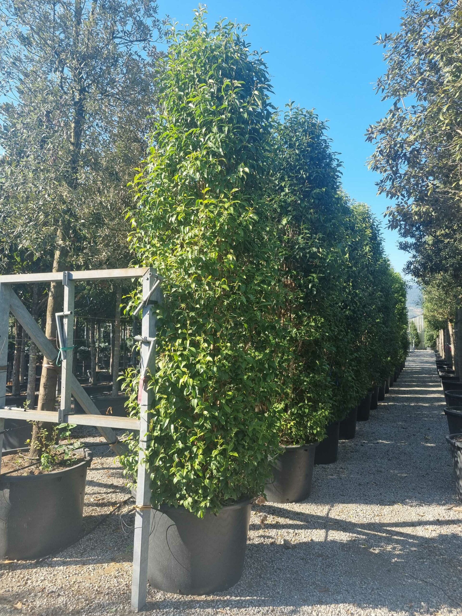 1692717374 scaled ba958d80