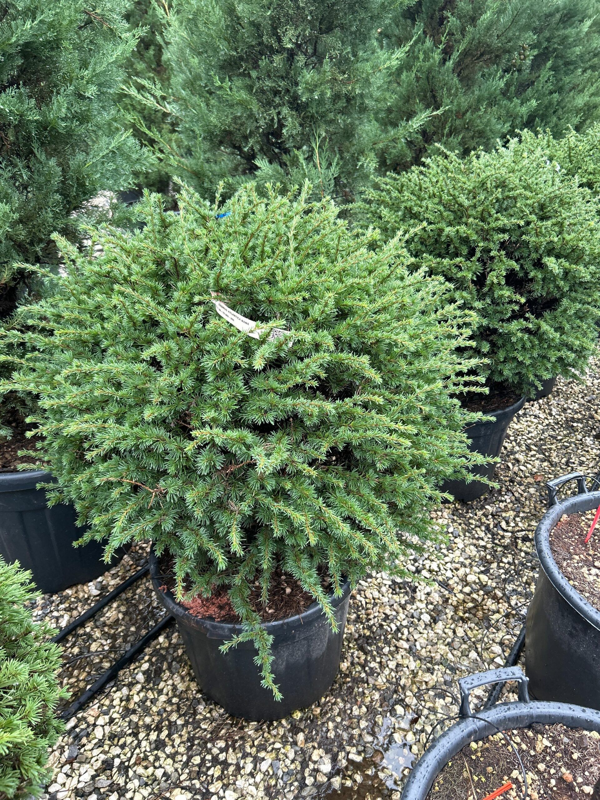 1698155666 scaled ba1e7cfd