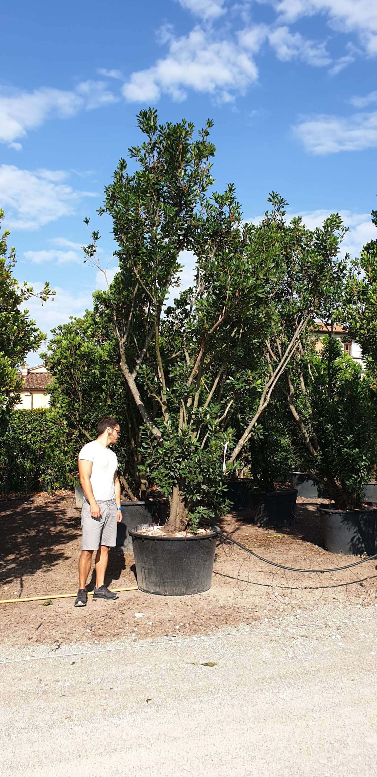 1608654004 scaled bbeb3b39