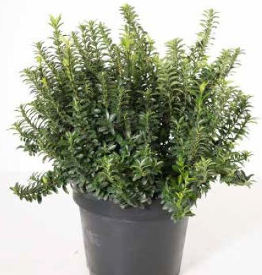 1614103078 euopuc7 bbeaebec