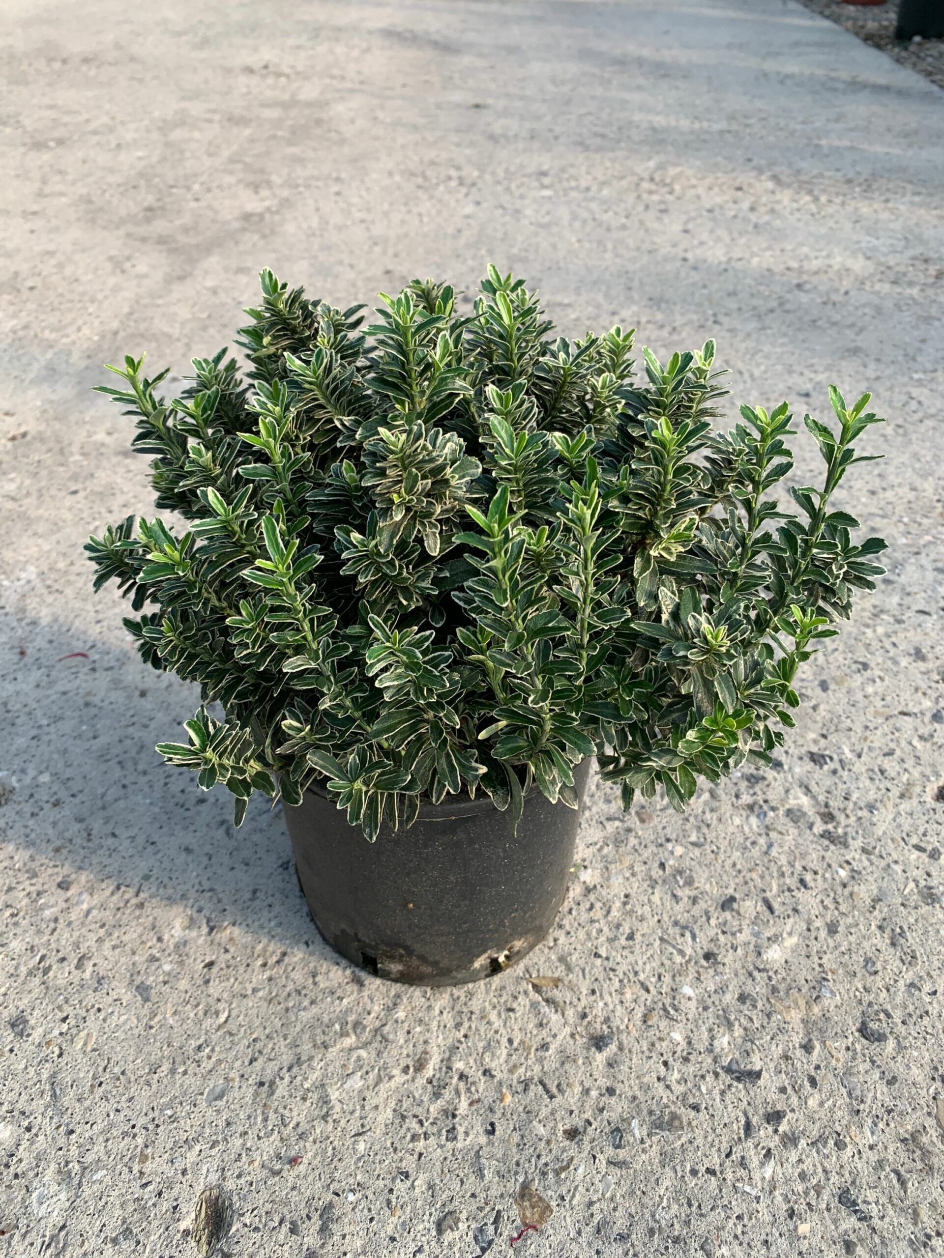 1632815005 scaled bbc2a544