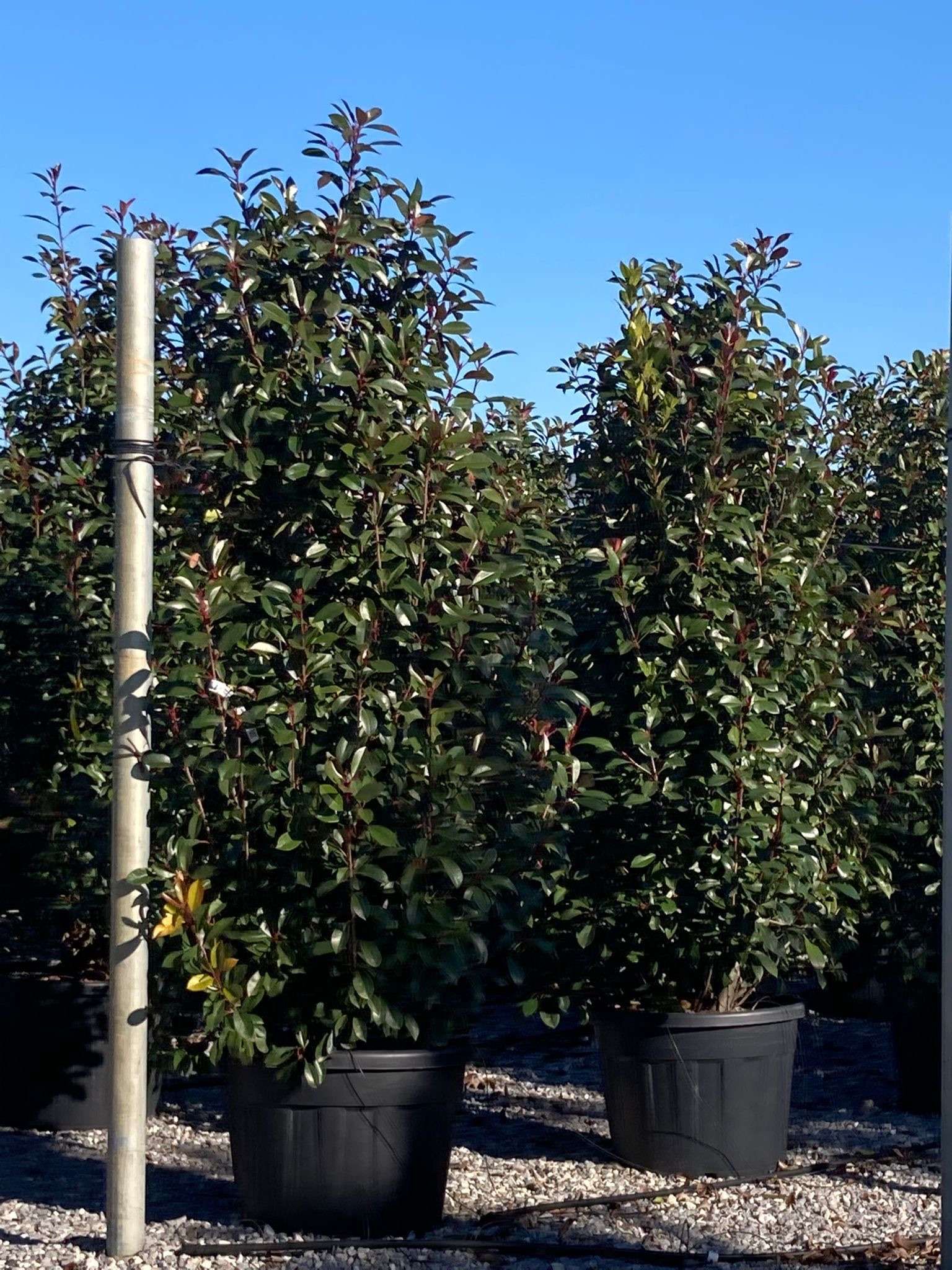 1643127180 011cf79af8f85be78eccc92d26c5717abb3caeec03 bbfa04cf