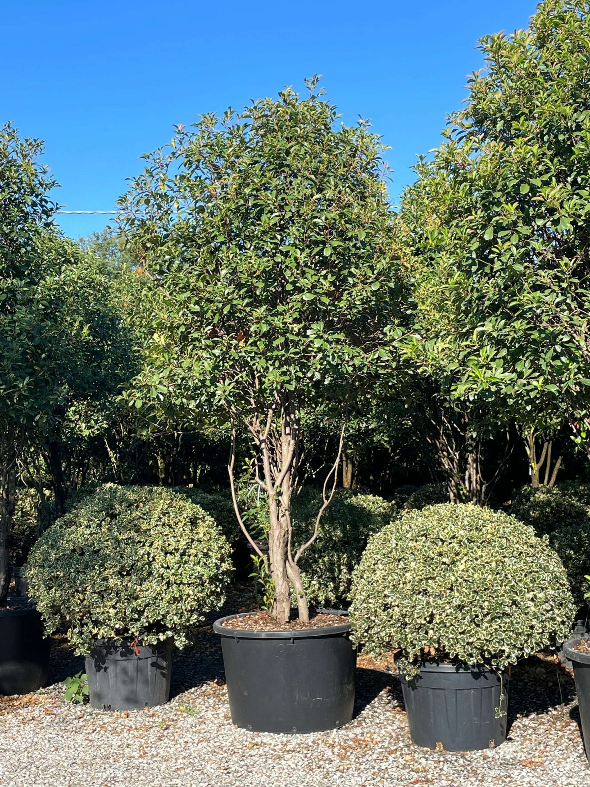 1660374034 scaled bbe5c765