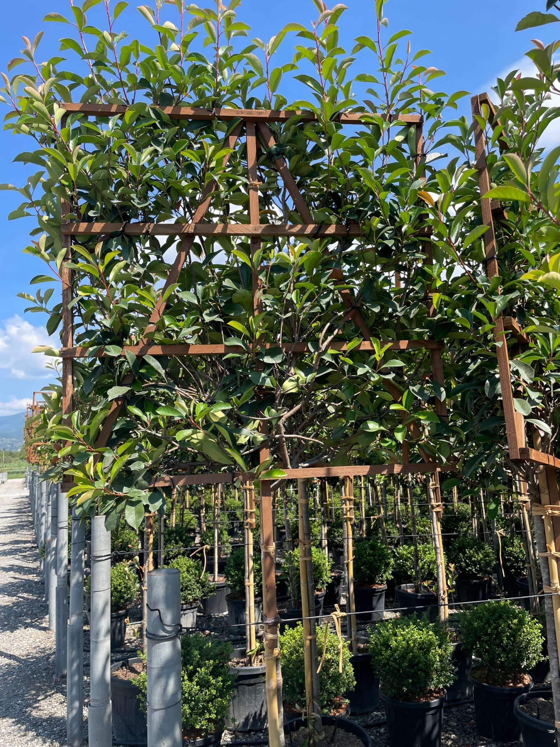 1661508814 scaled bbd4b0e9