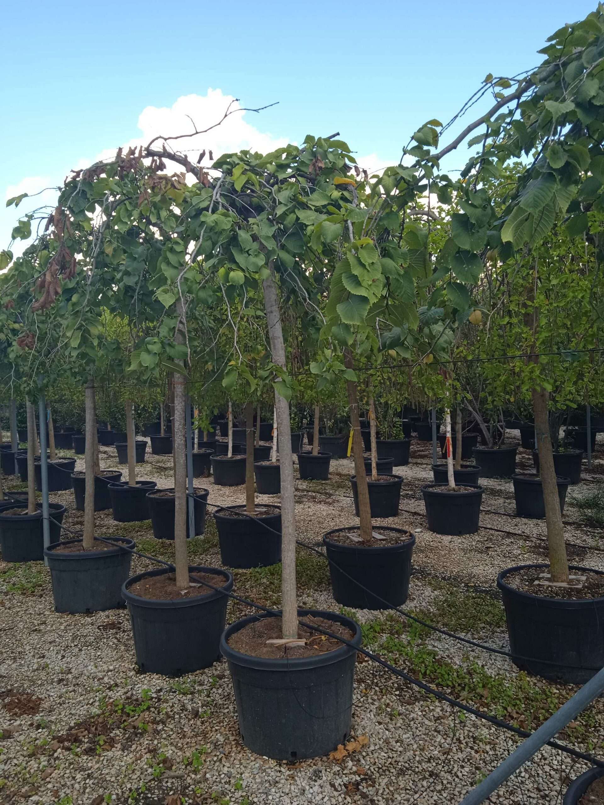 1661779196 scaled bb9ff717