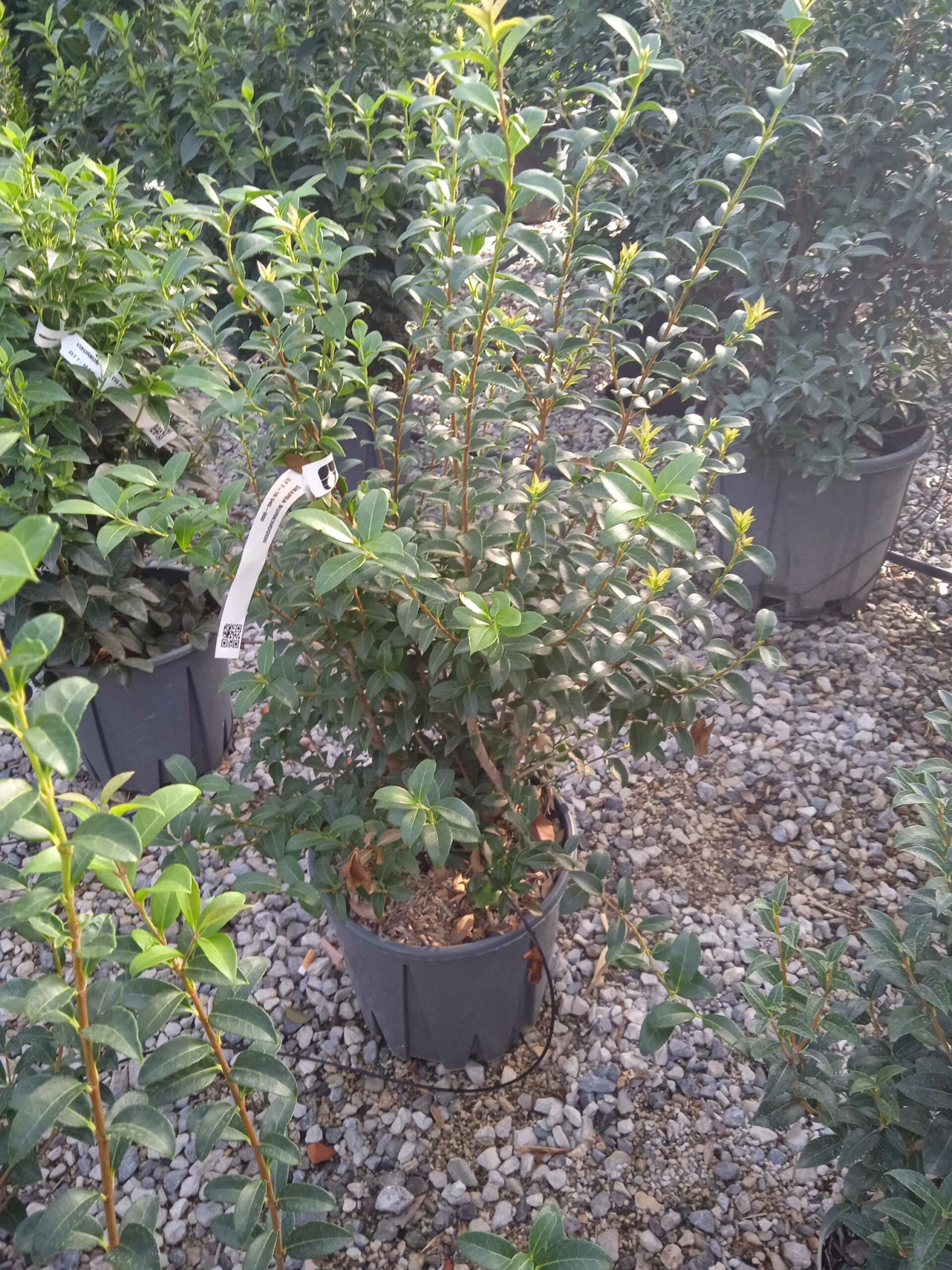 1662446526 scaled bb94d7a9