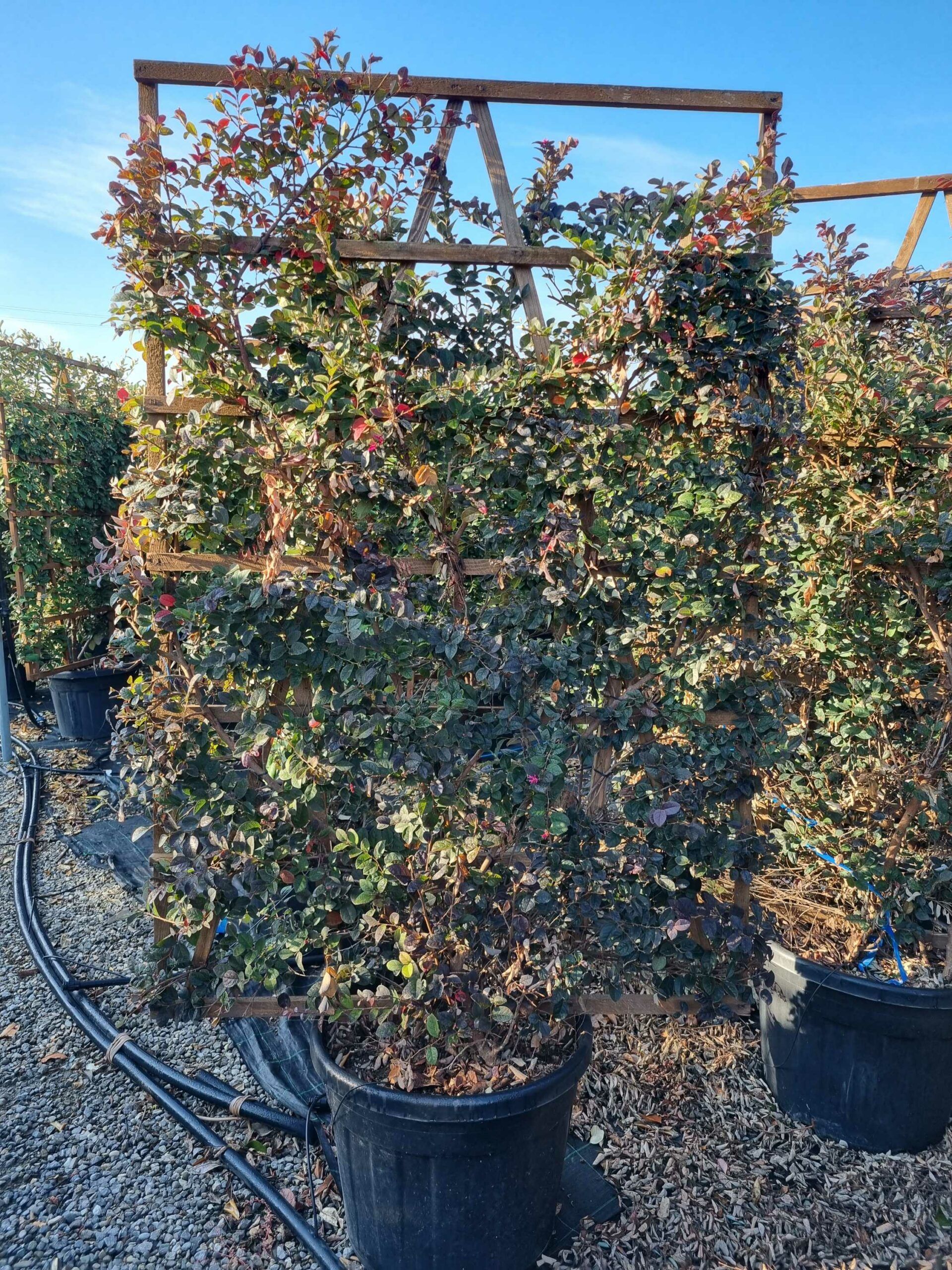 1665126770 scaled bb2dde5a