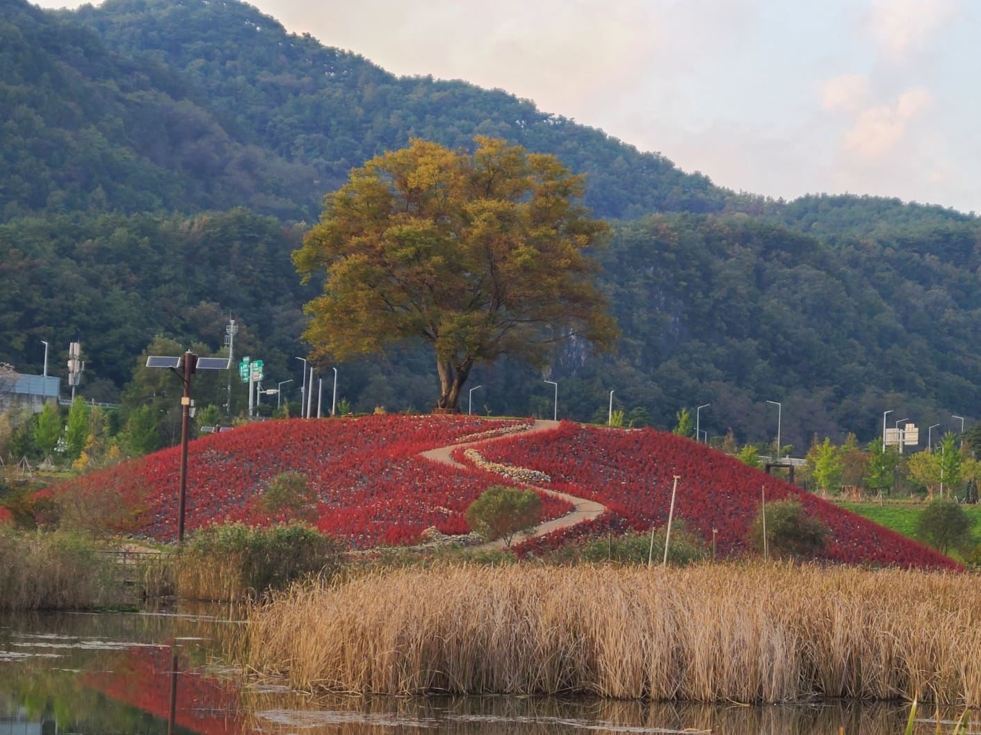 0002357 IMG 7491 bcb2d317