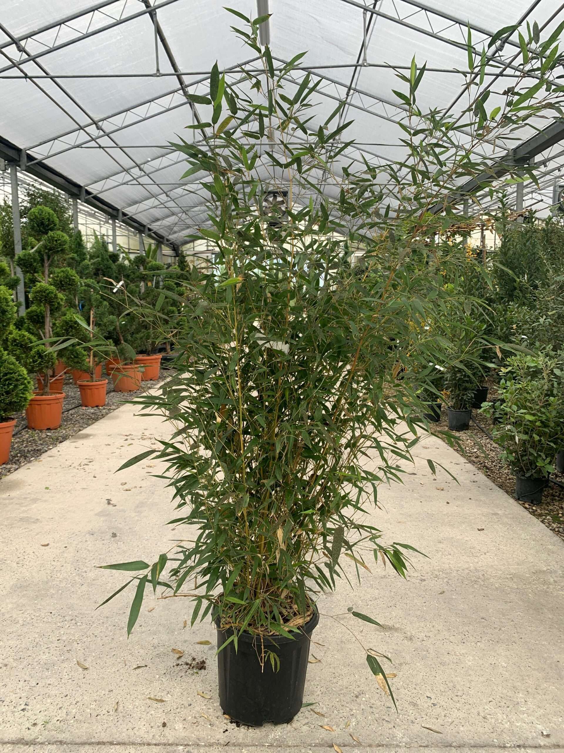 1637576257 scaled bc99ab42