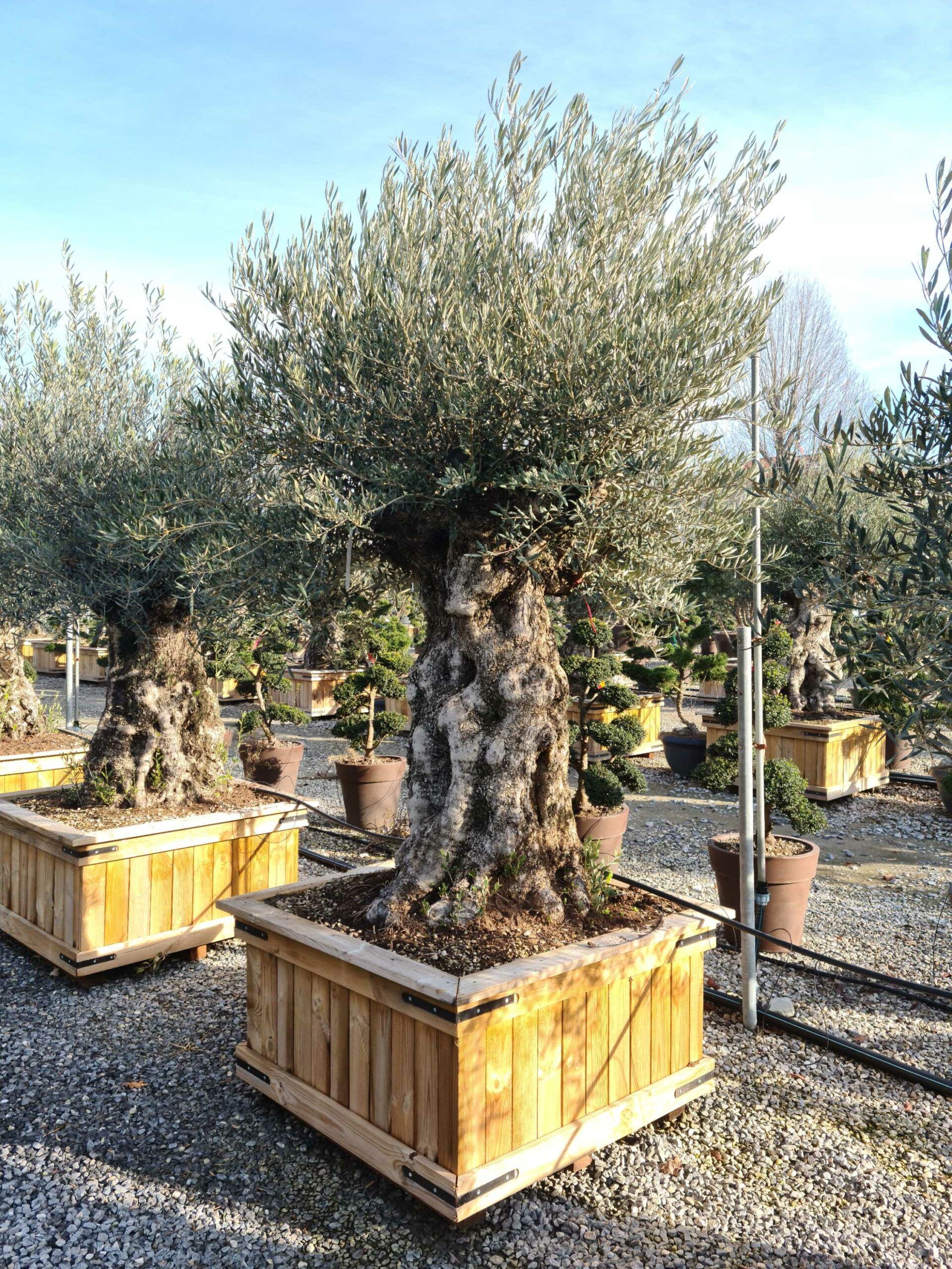 1639562903 scaled bc37cf74