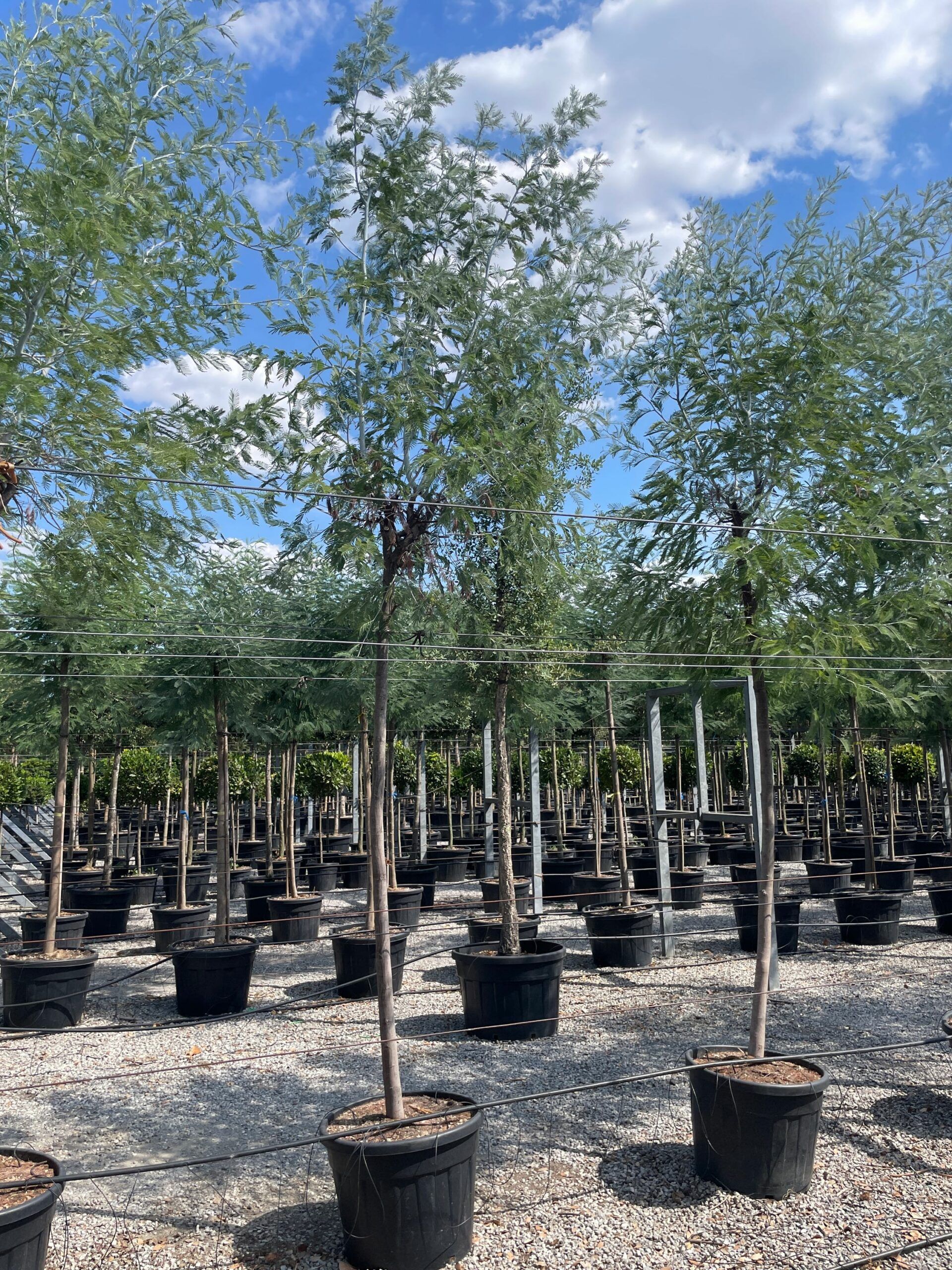 1660224598 scaled bcb53016