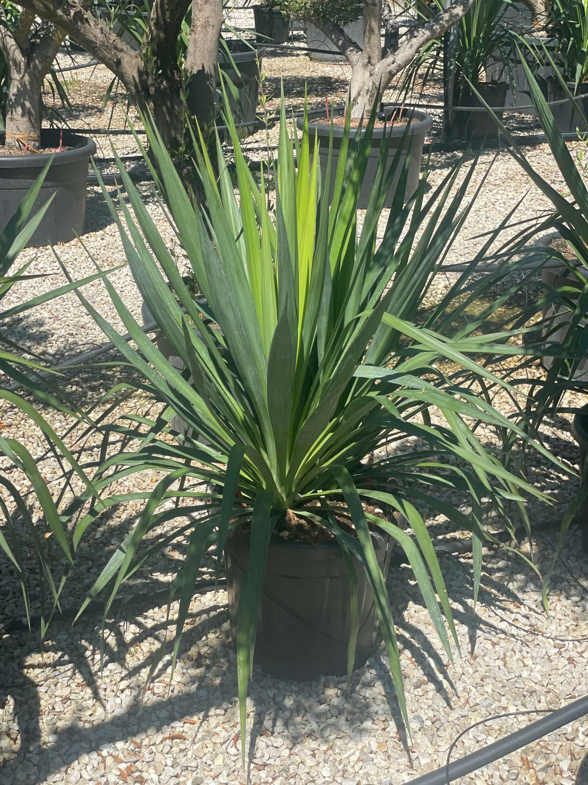 1691499215 scaled bc229777