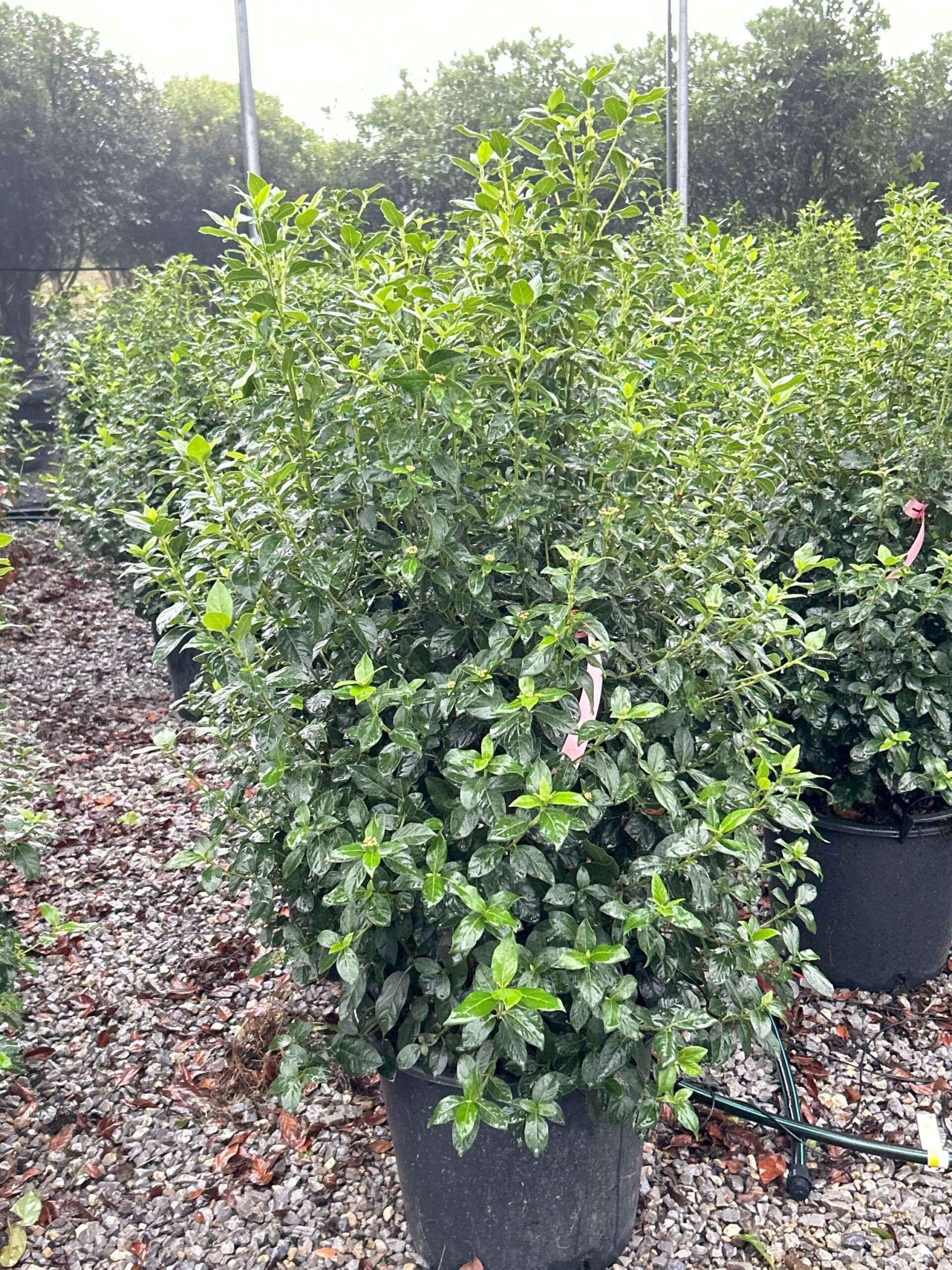 1698161649 scaled bc7f01fe