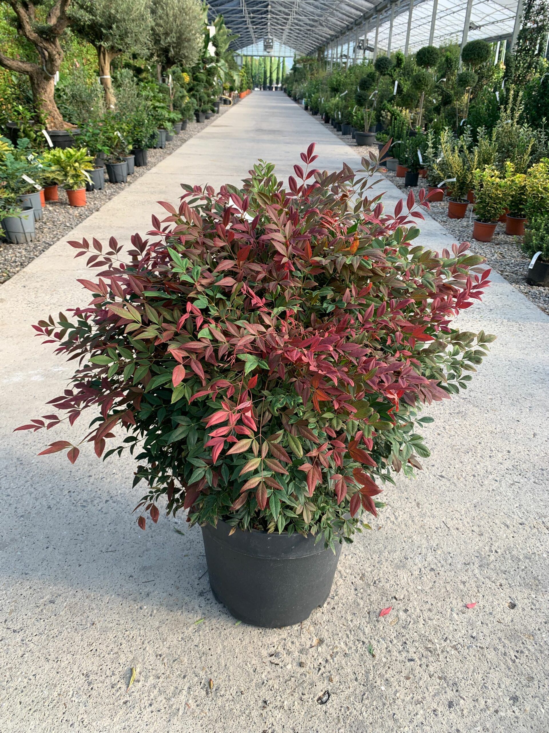 1632813151 scaled bd1be02b