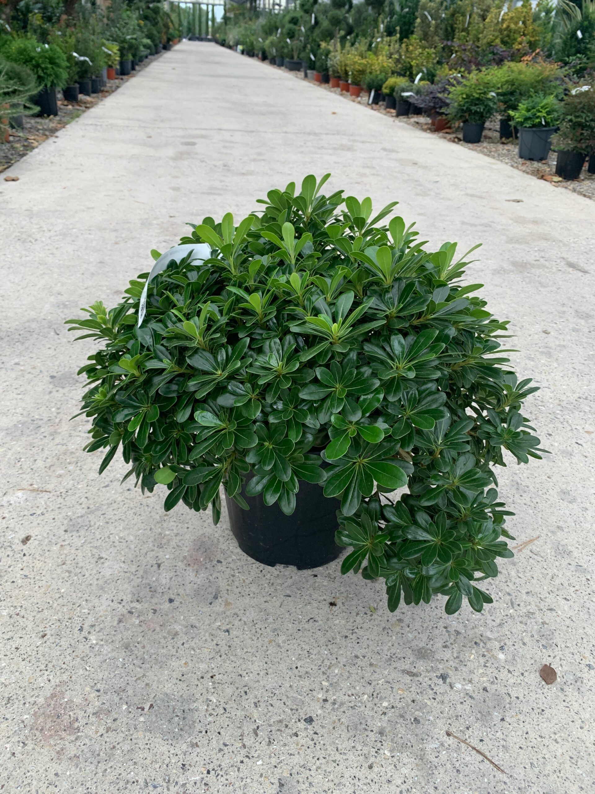 1634825838 scaled bd4fa5aa