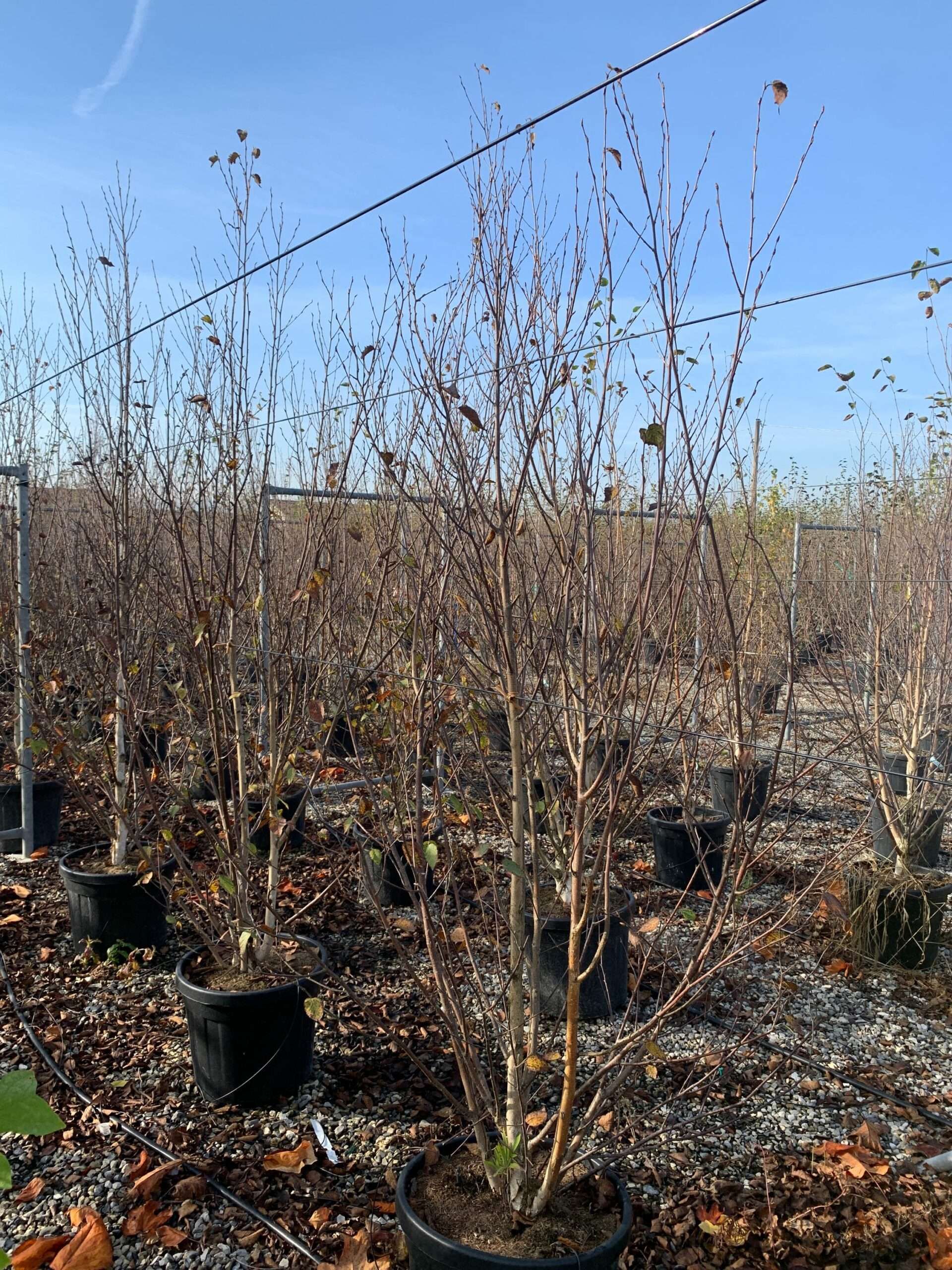 1635496653 scaled bd26ec65